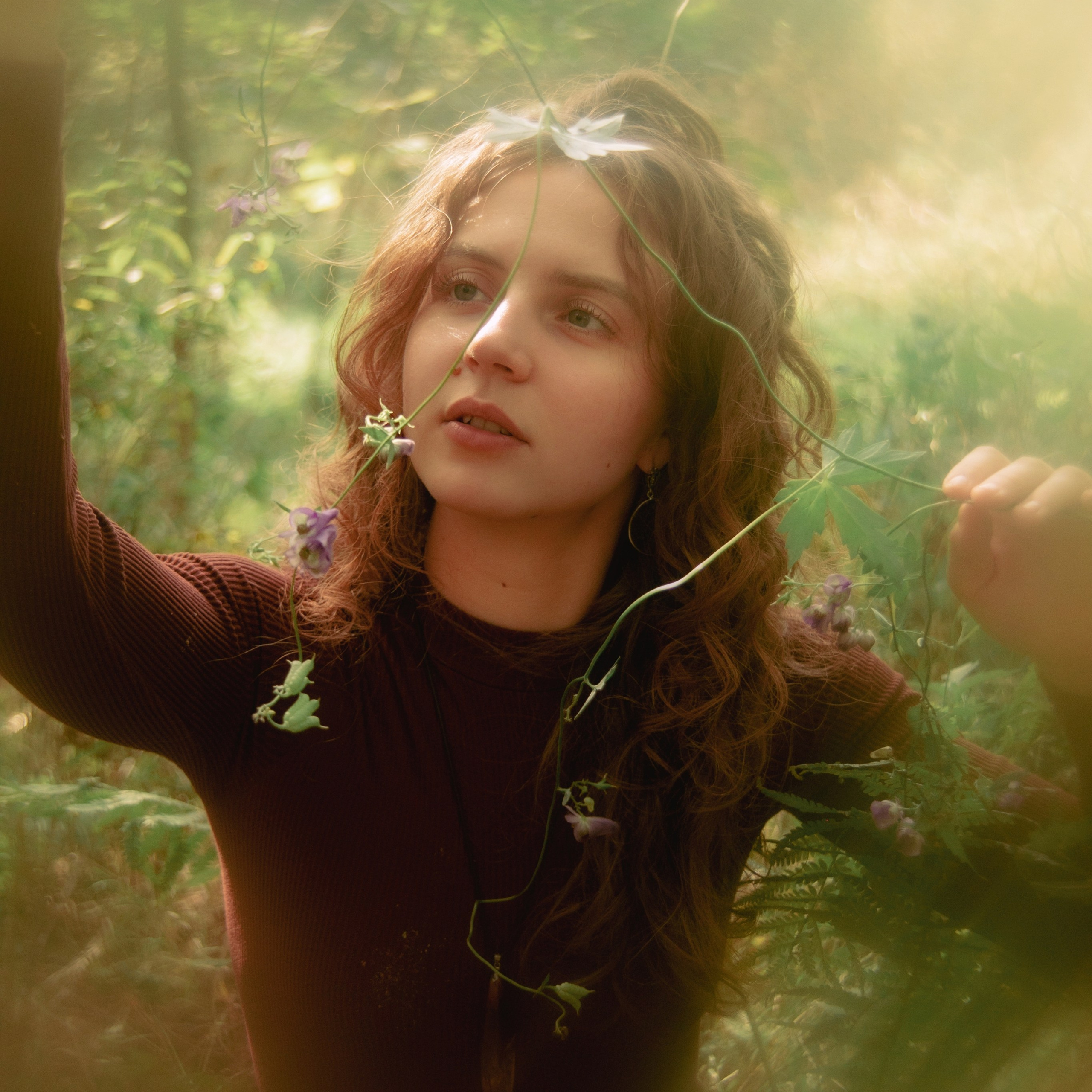 Волшебный лес