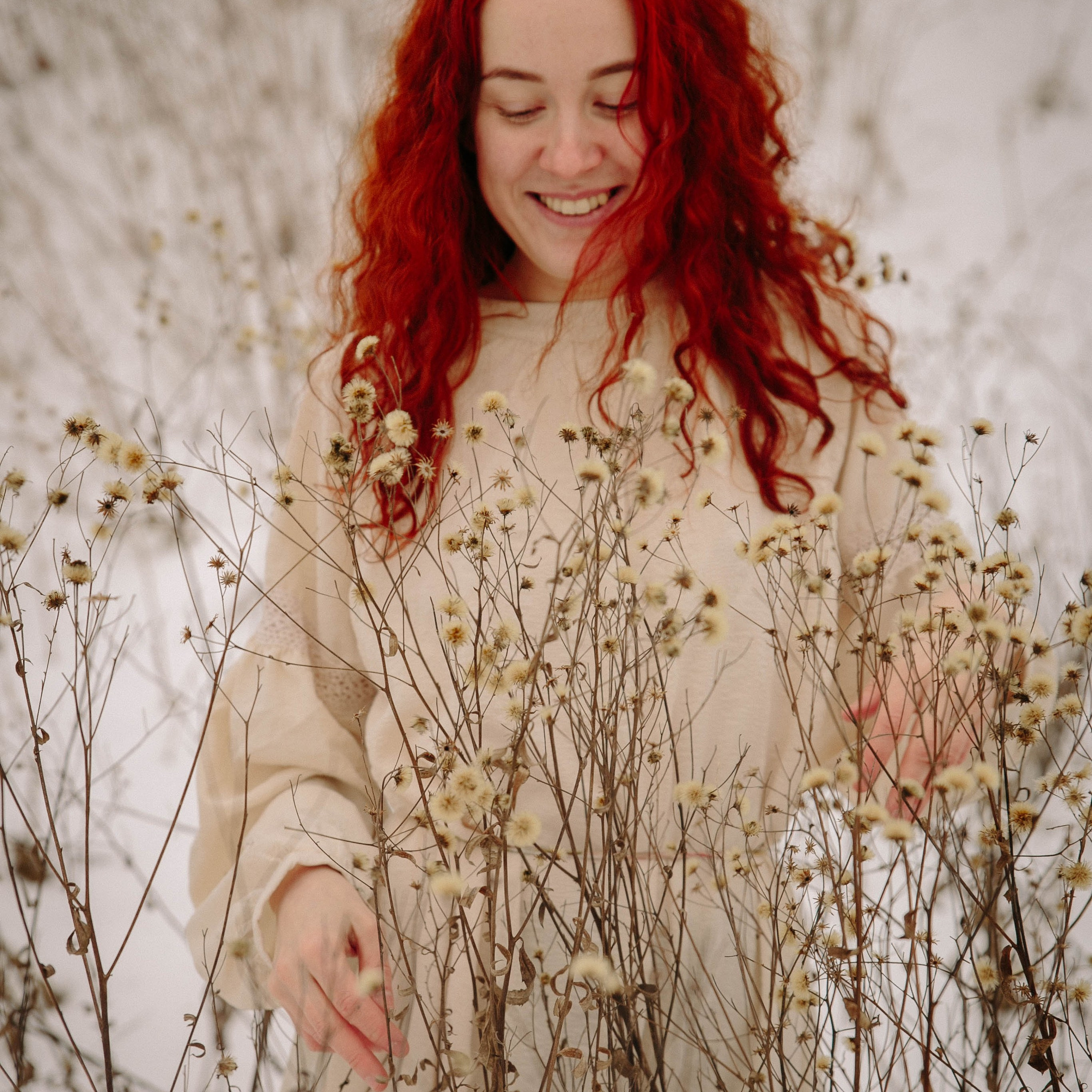 Снежный лес