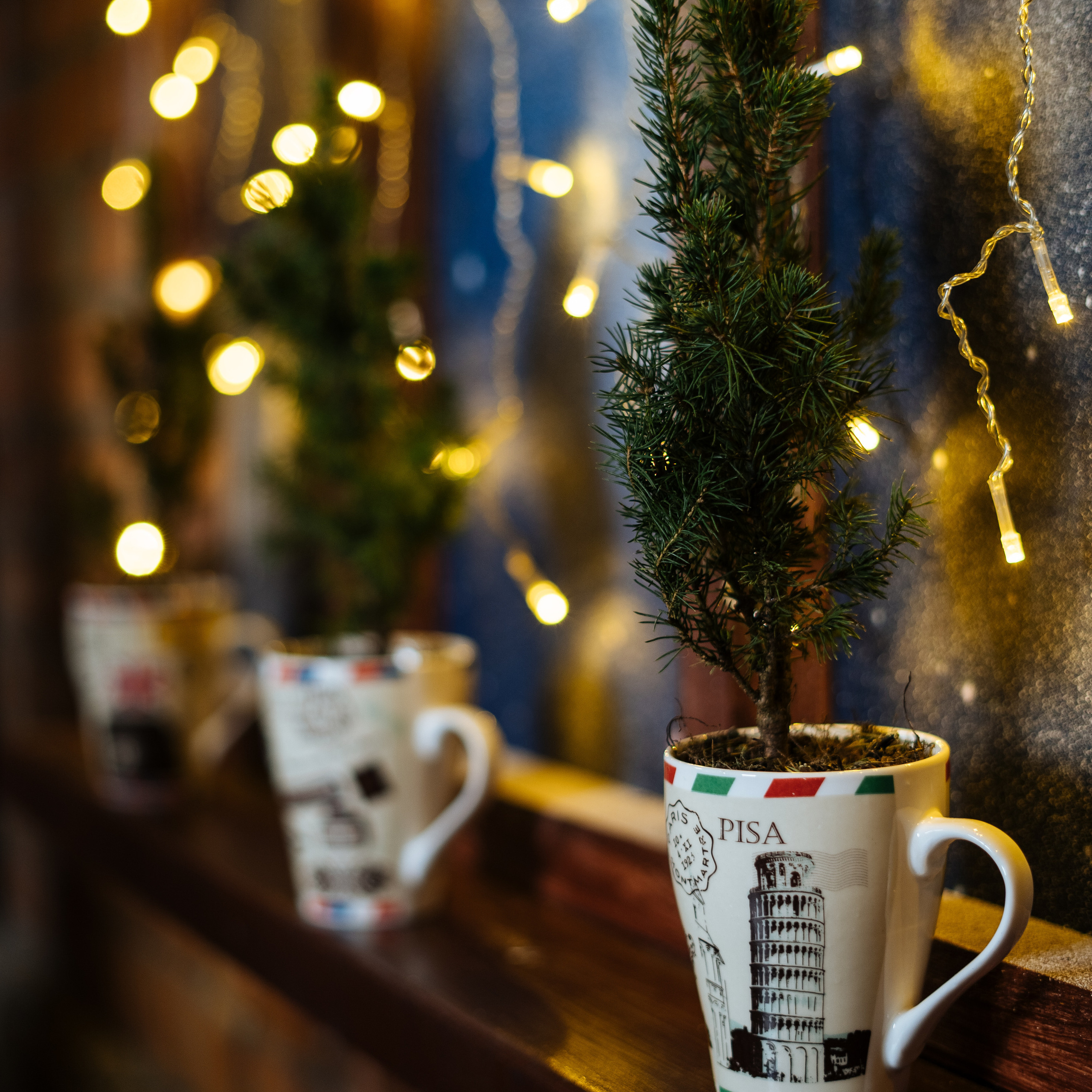 Отзывы. Контент фотограф-видеомейкер Сухарь Мария