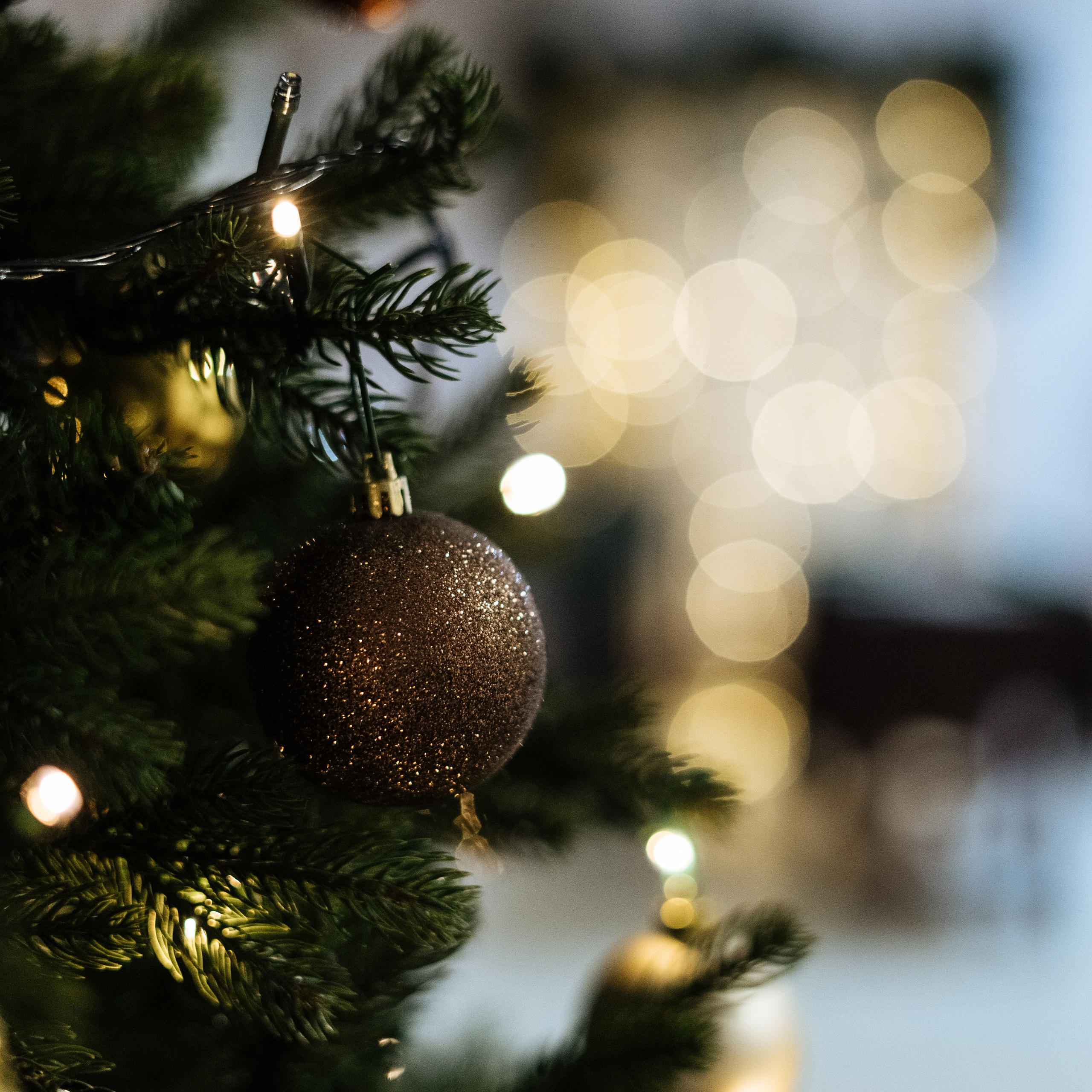 Отзывы. Контент фотограф-видеомейкер Сухарь Мария