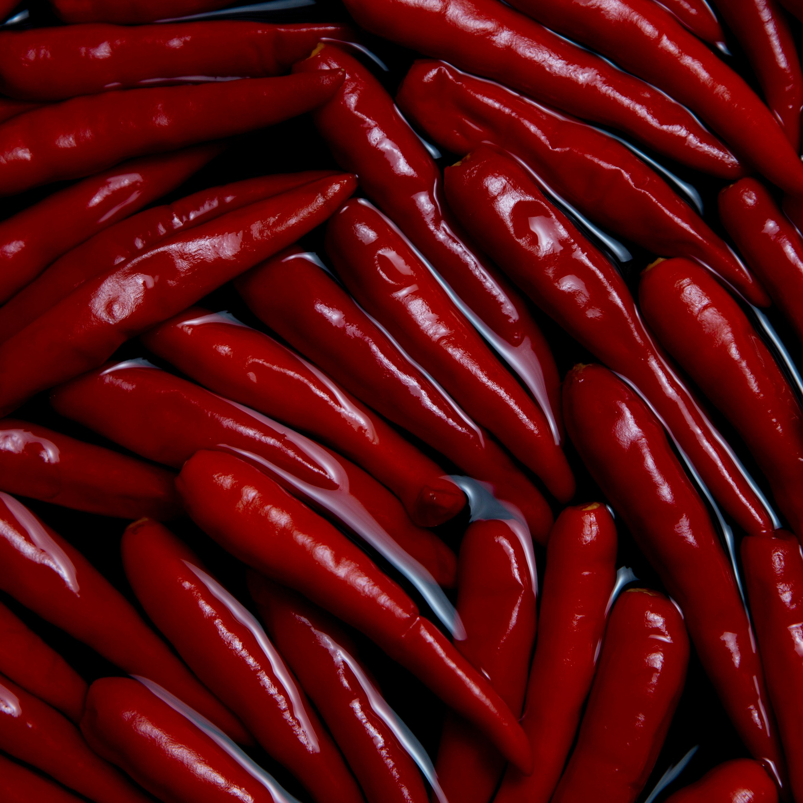 Творчество