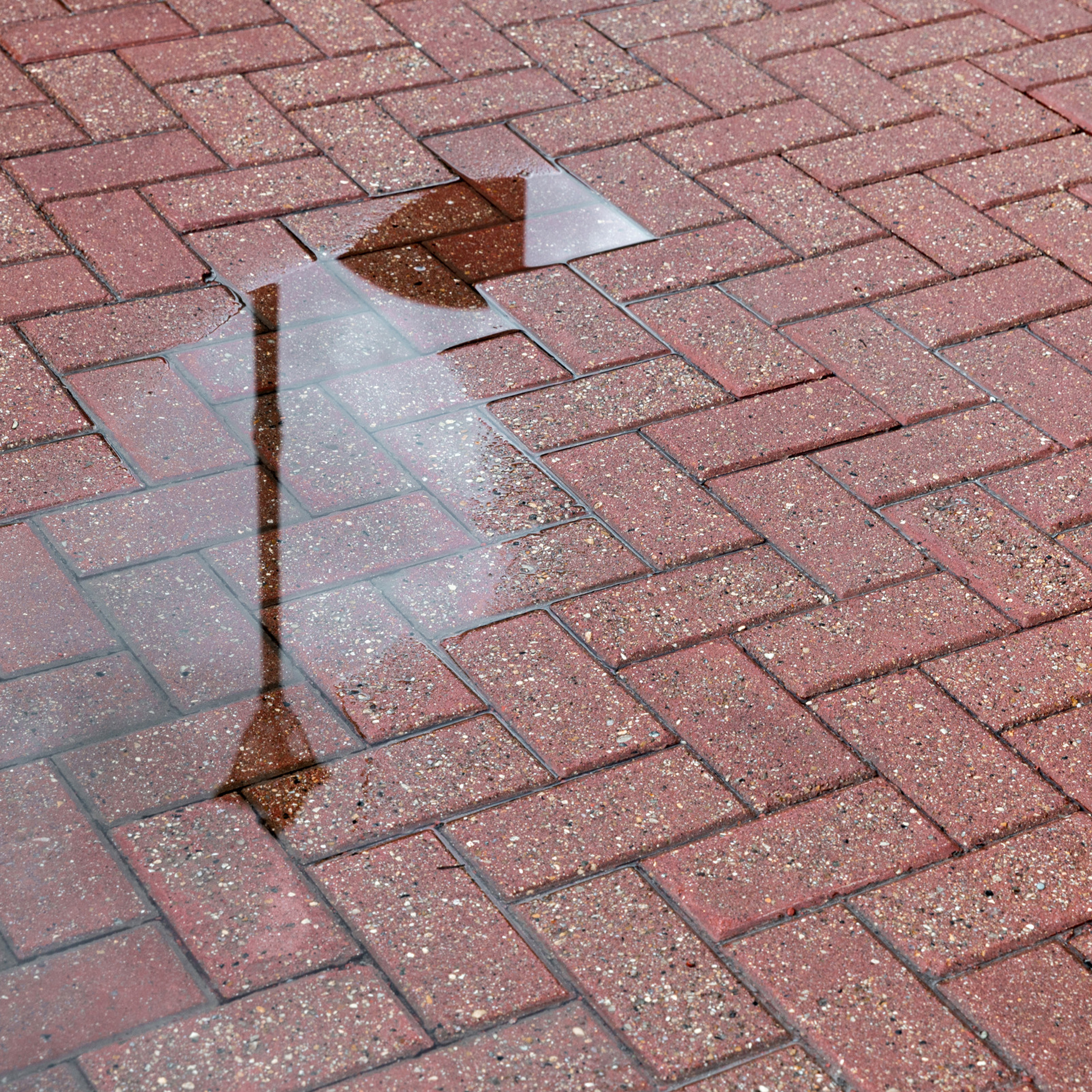 Элеонора и Максим. Свадебный фотограф Ростов-на-Дону Сочи