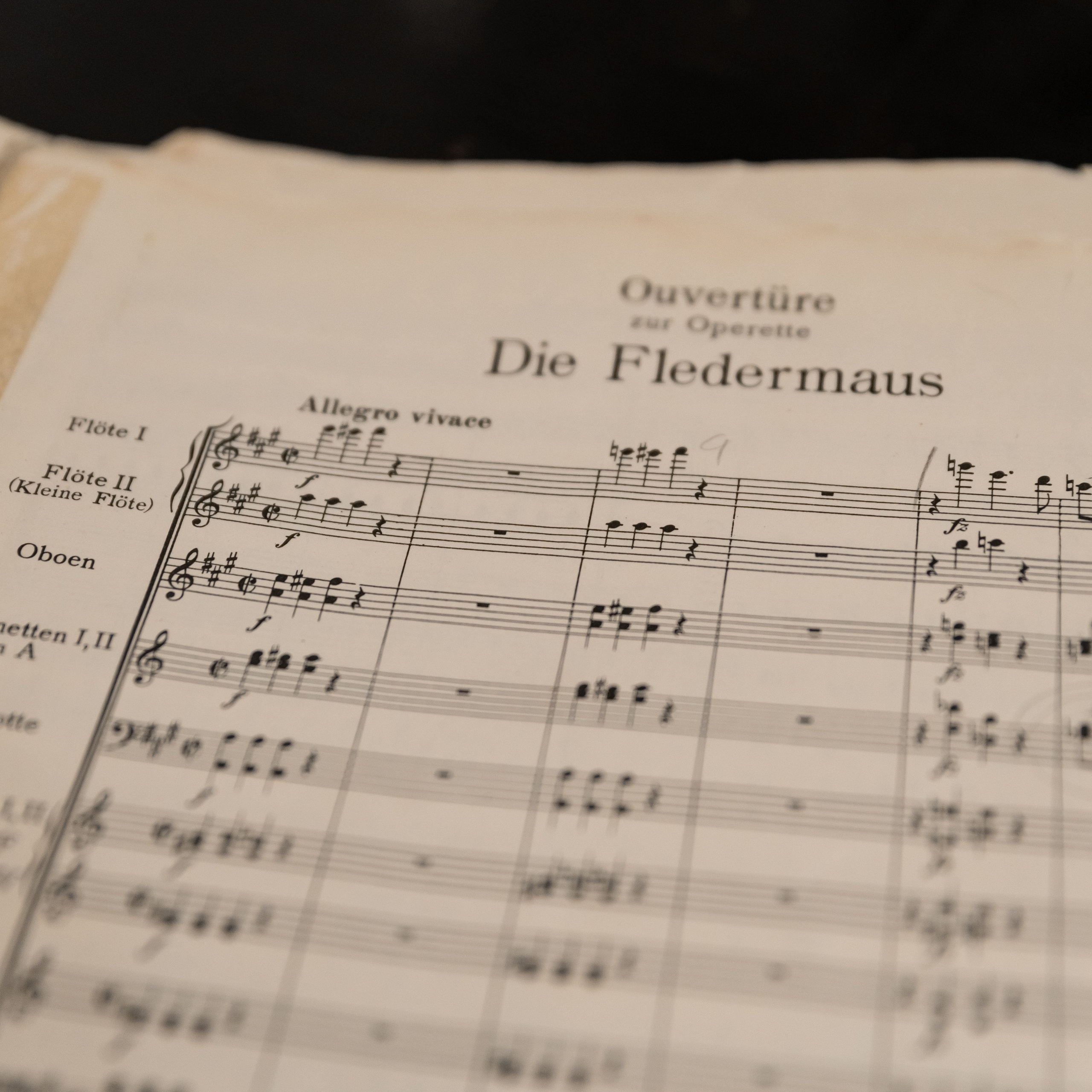 Музыка души. Свадебный фотограф Ростов-на-Дону Сочи