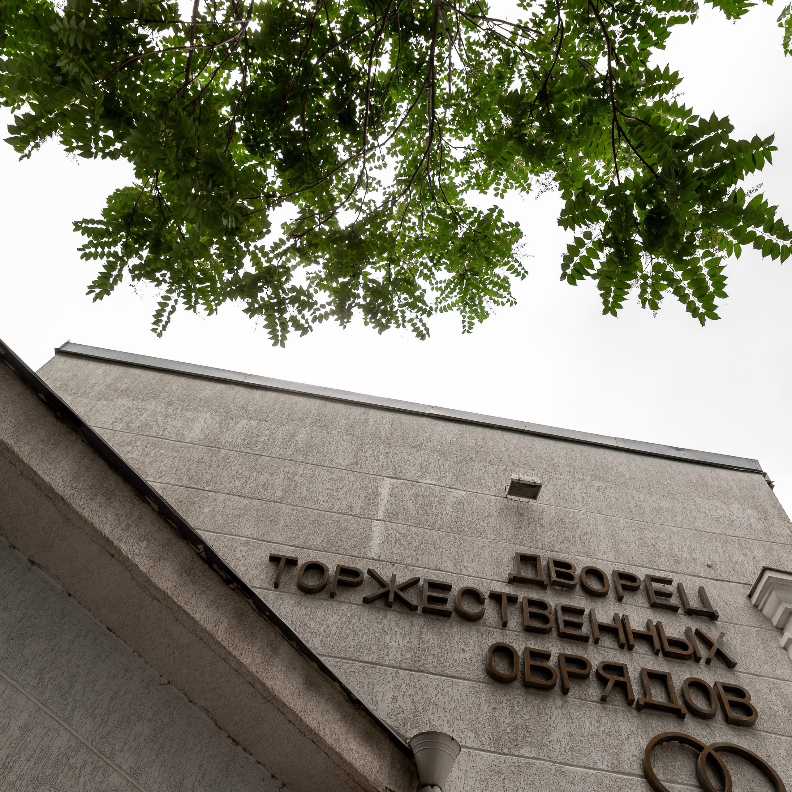 Ангелина и Виталий. Свадебный фотограф Ростов-на-Дону Сочи