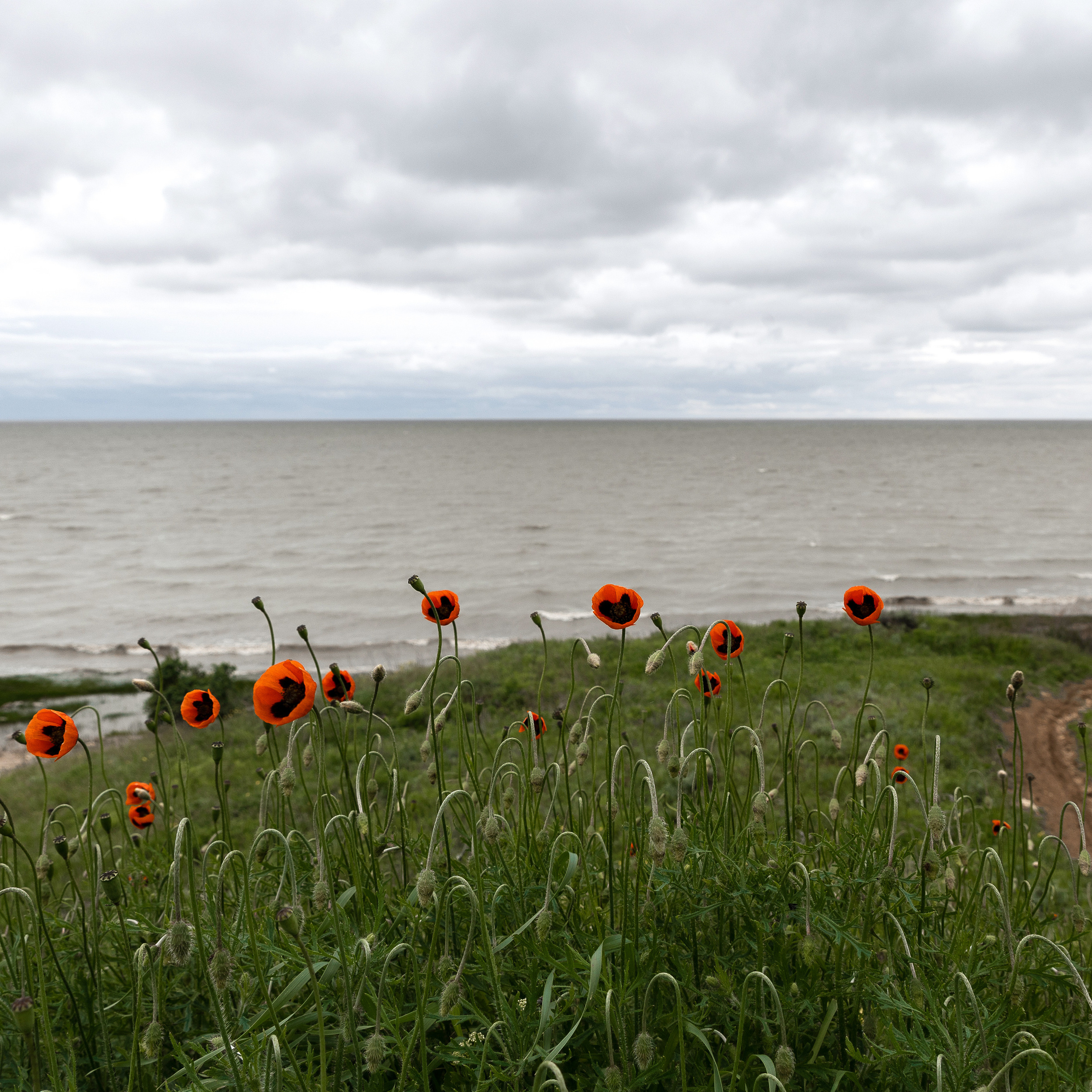 Любовь воздушный змей. Свадебный фотограф Ростов-на-Дону Сочи