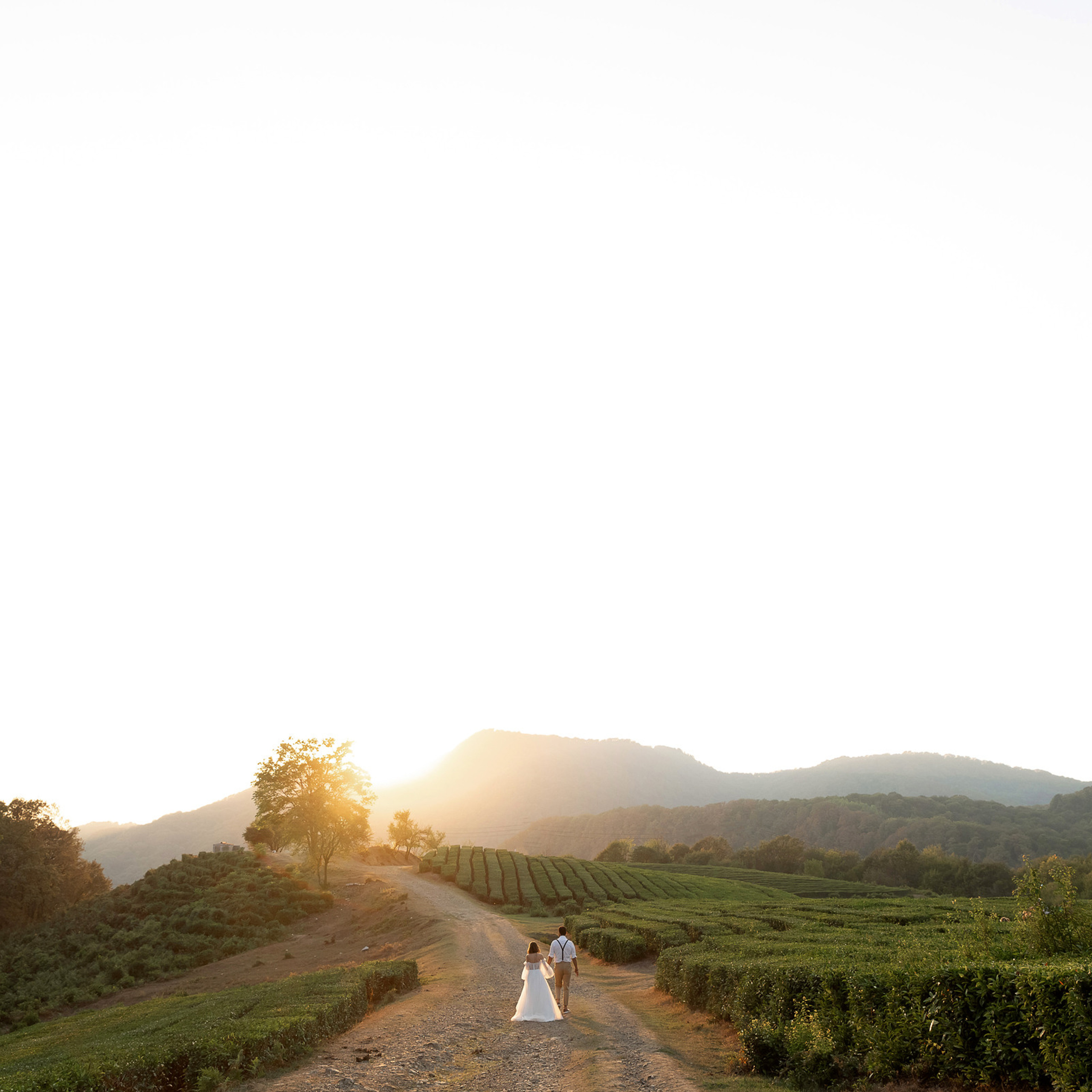 Карина и Артур. Свадебный фотограф Ростов-на-Дону Сочи