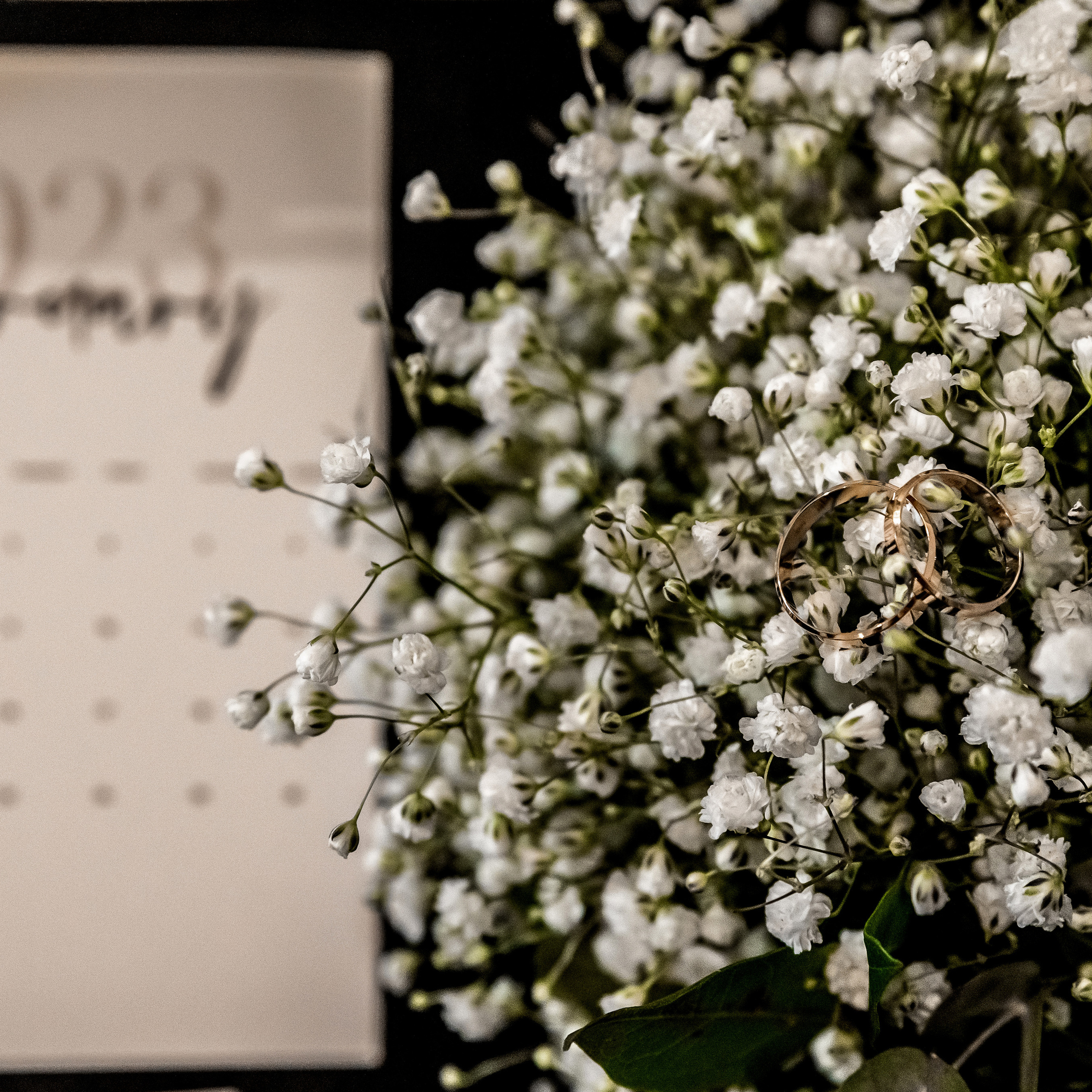 Алёна и Владимир. Свадебный фотограф Ростов-на-Дону Сочи