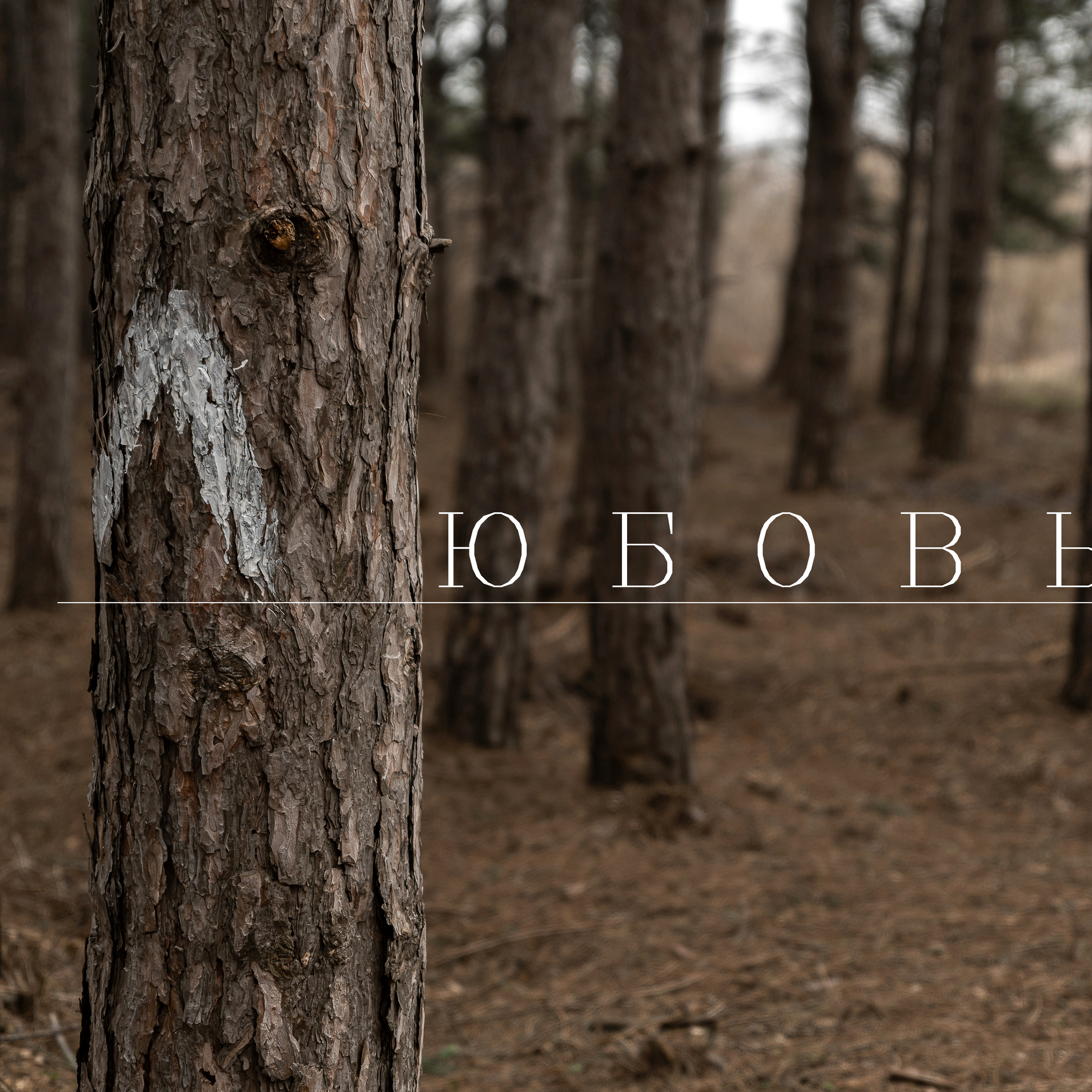 Л- любовь. Свадебный фотограф Ростов-на-Дону Сочи