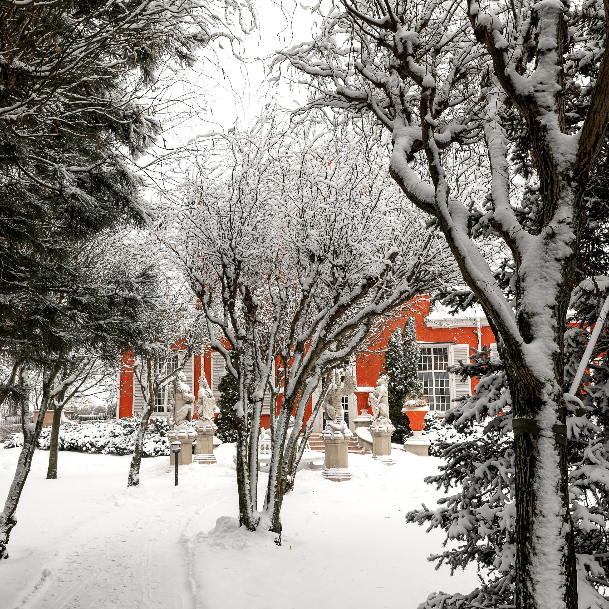 Дарина и Дмитрий. Свадебный фотограф Ростов-на-Дону Сочи