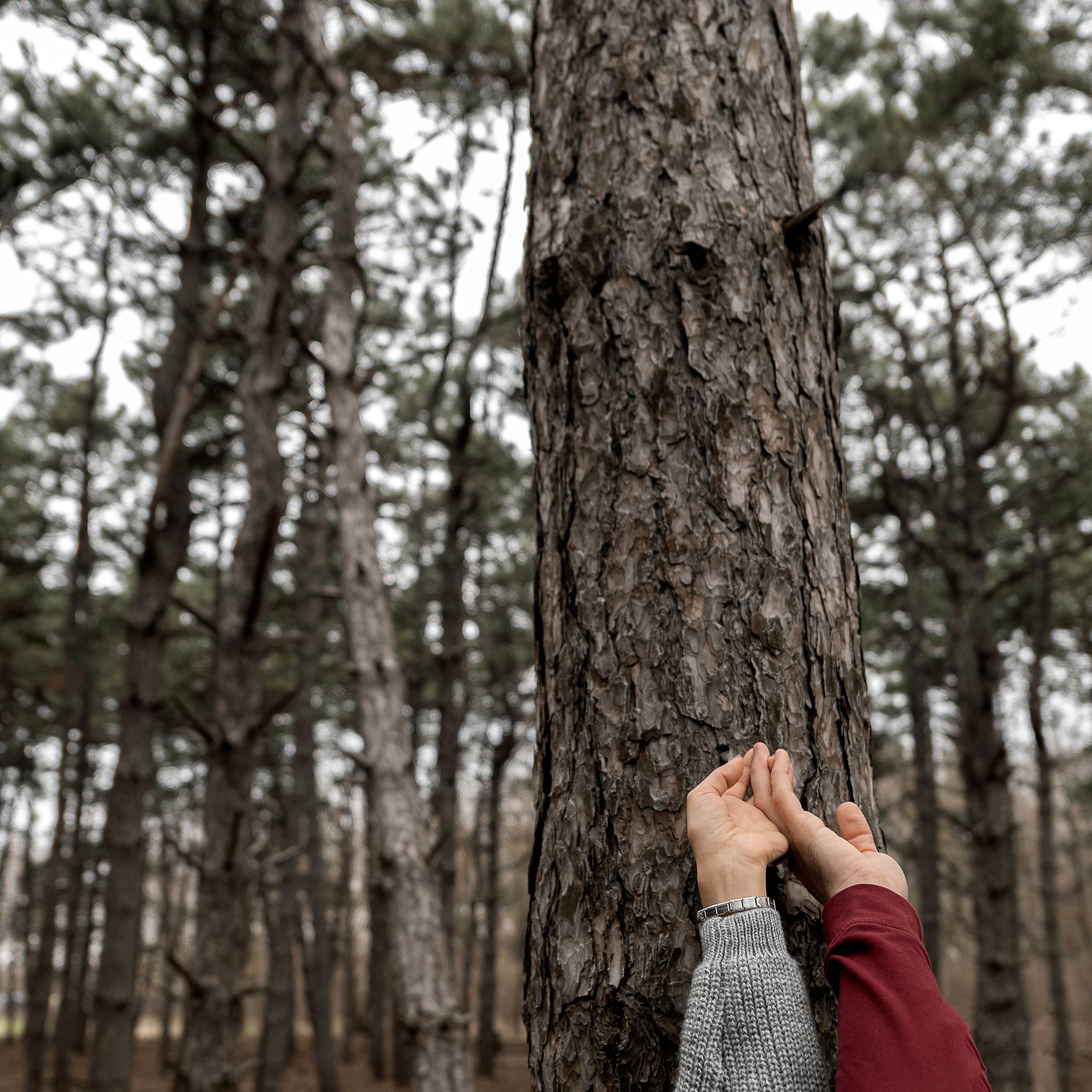 Л- любовь. Свадебный фотограф Ростов-на-Дону Сочи