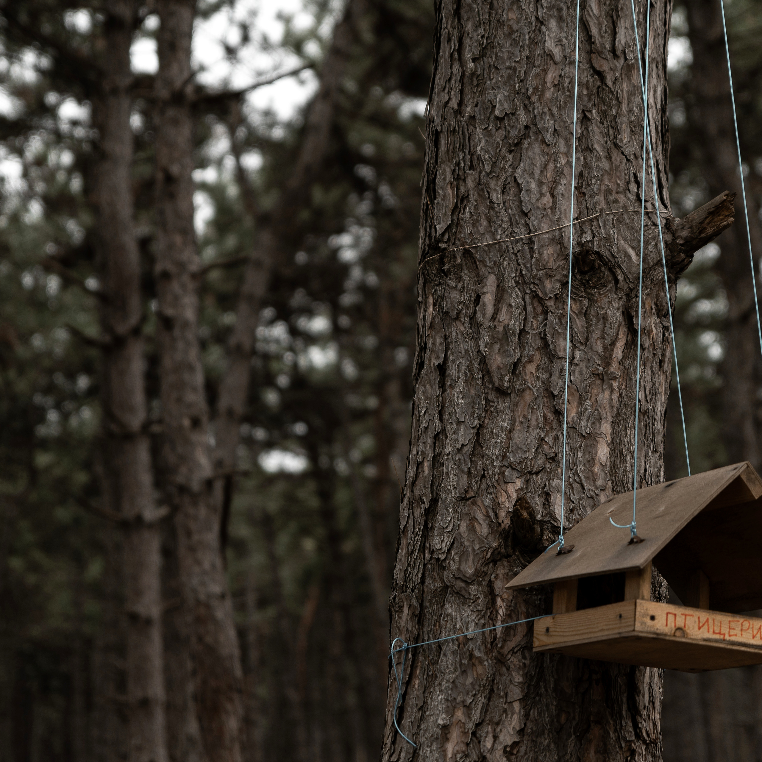 Л- любовь. Свадебный фотограф Ростов-на-Дону Сочи