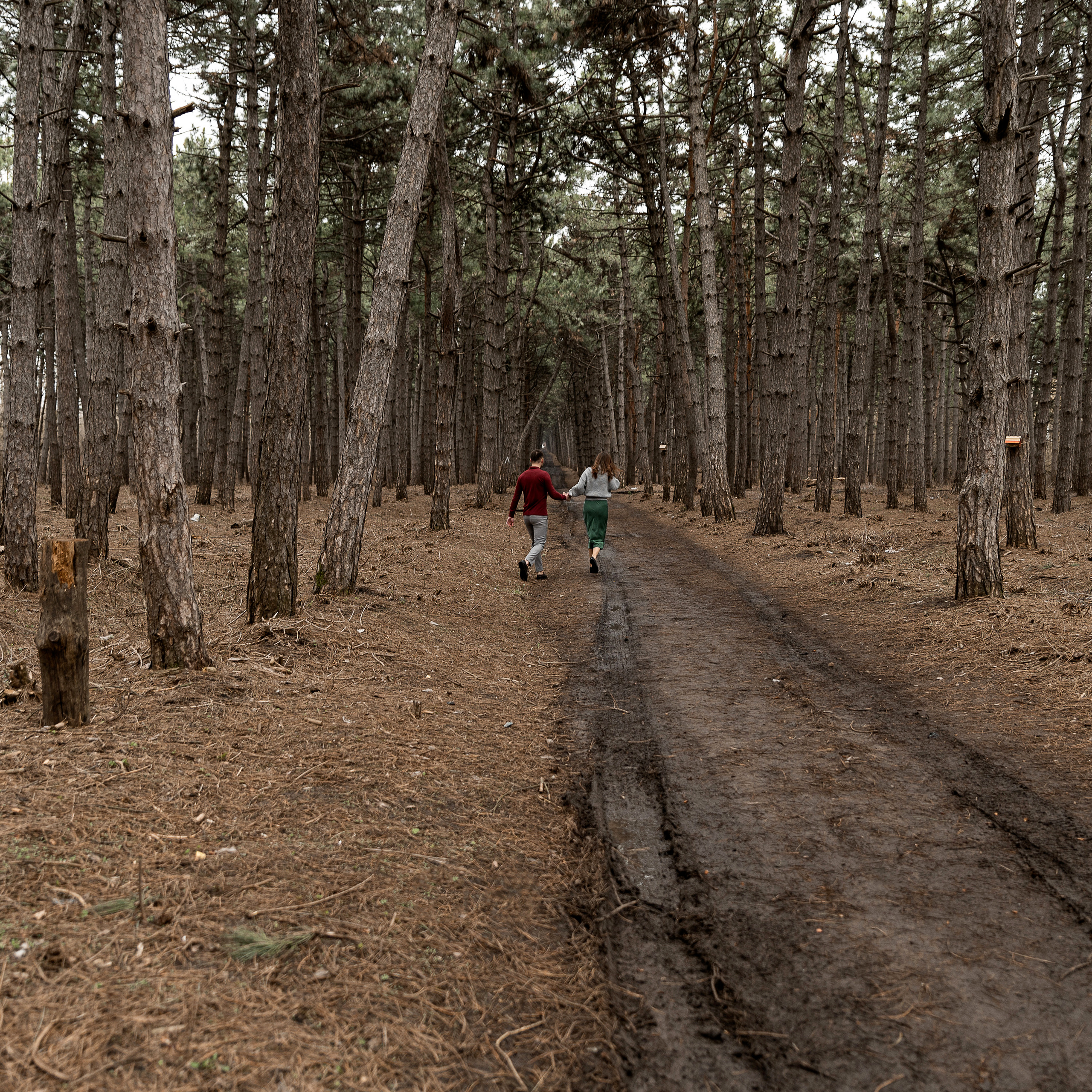 Л- любовь. Свадебный фотограф Ростов-на-Дону Сочи