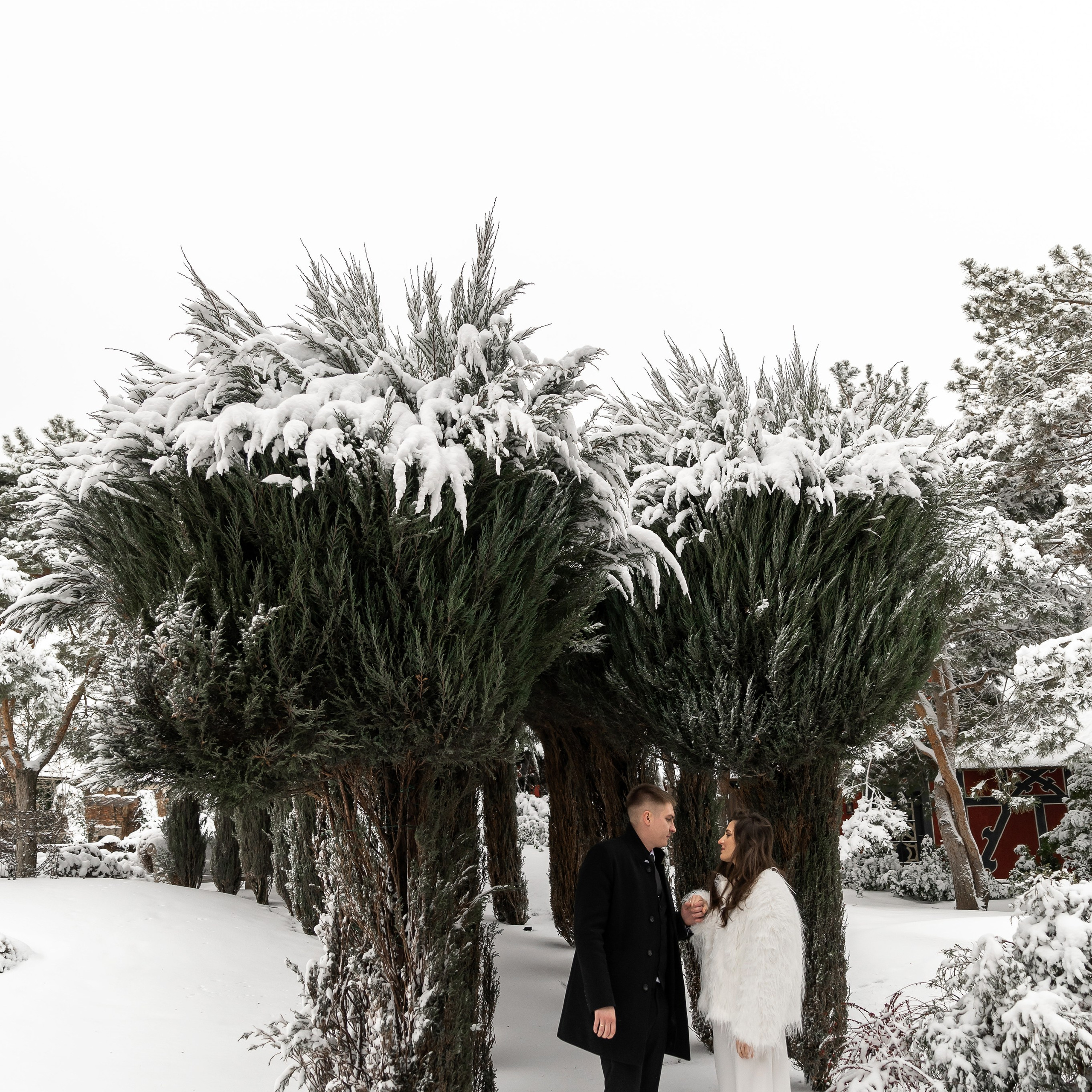 Дарина и Дмитрий. Свадебный фотограф Ростов-на-Дону Сочи