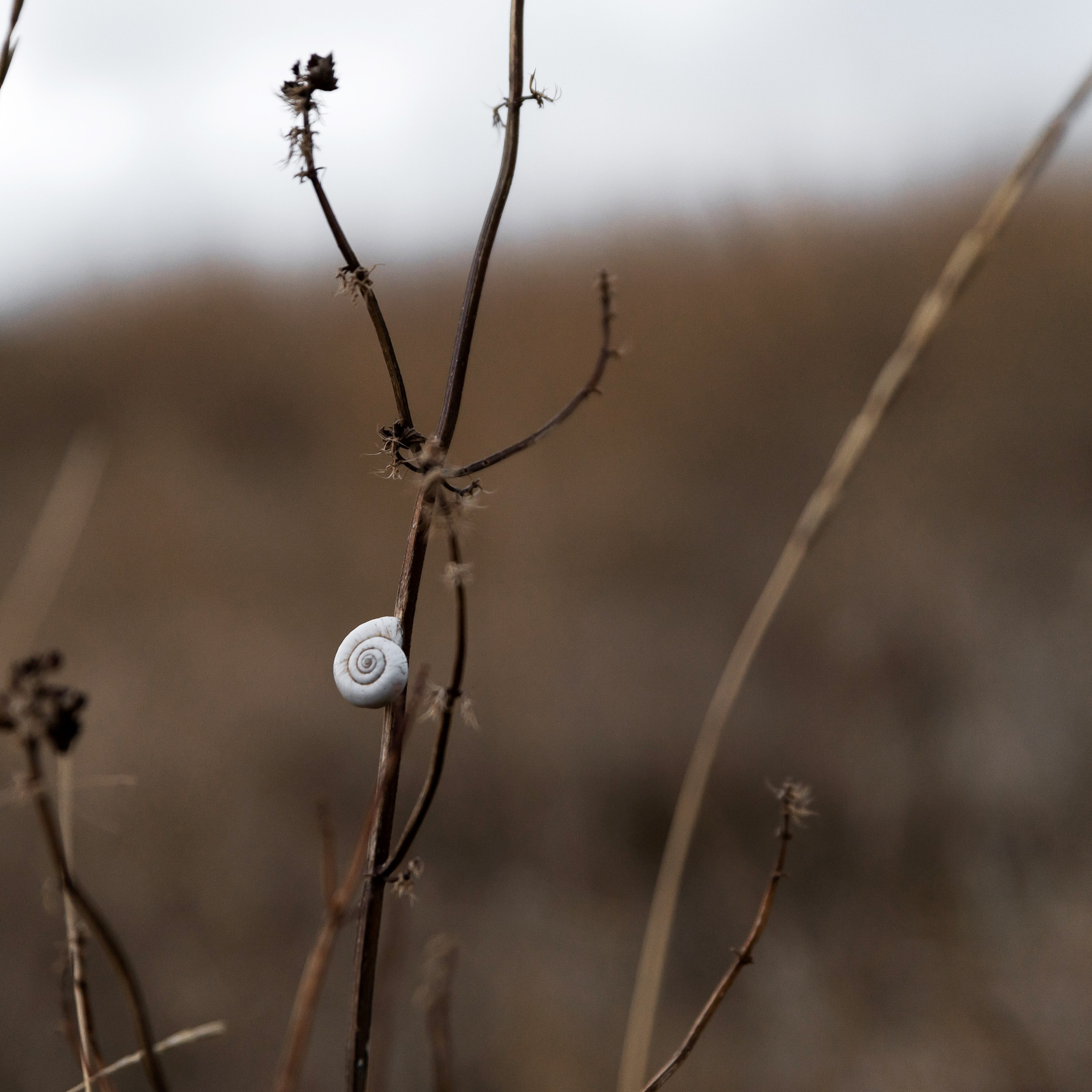 Целуя Солнце. Свадебный фотограф Ростов-на-Дону Сочи