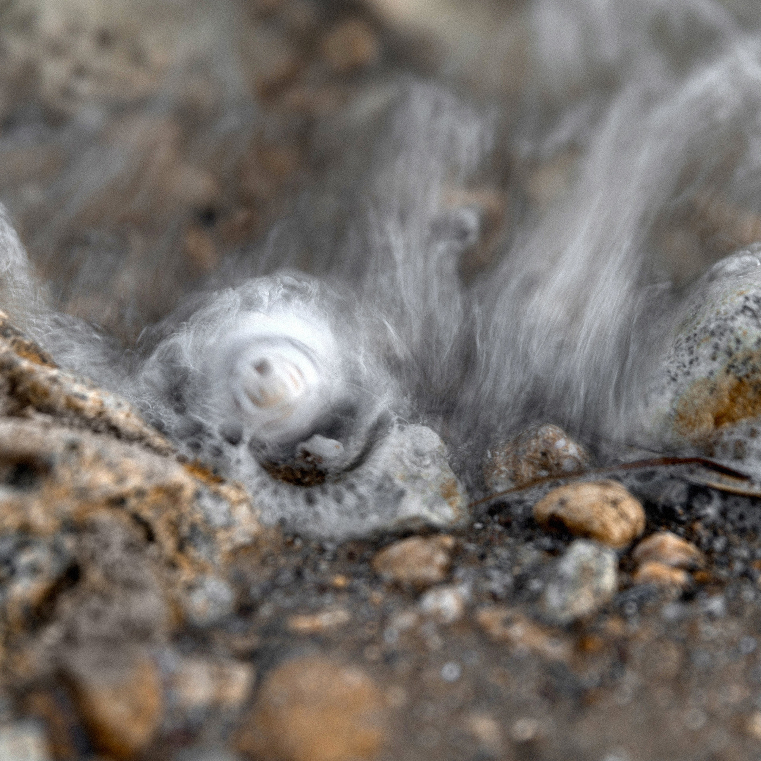 Ветер перемен. Свадебный фотограф Ростов-на-Дону Сочи