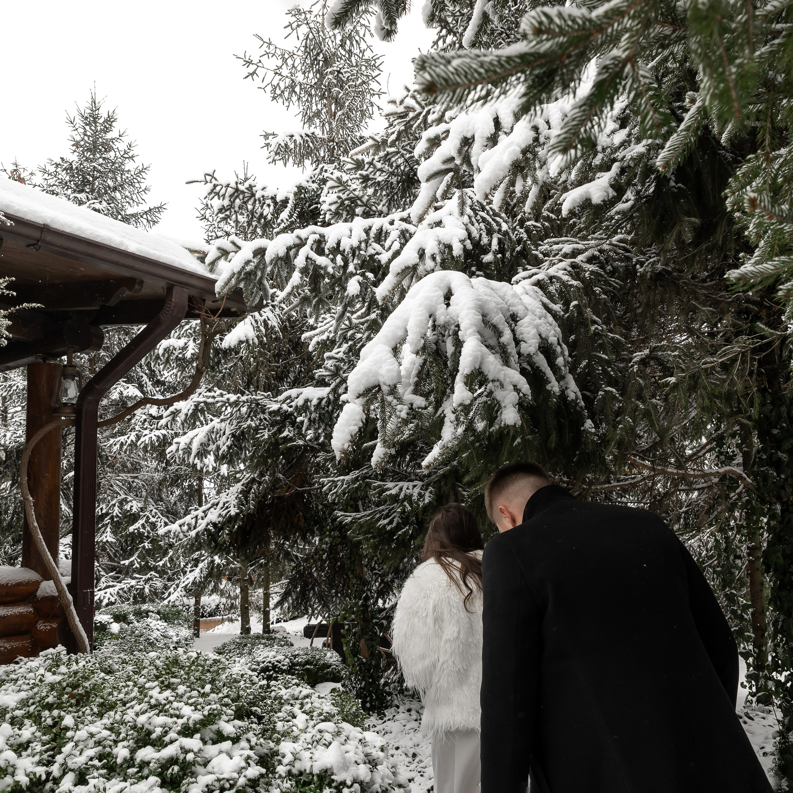 Дарина и Дмитрий. Свадебный фотограф Ростов-на-Дону Сочи