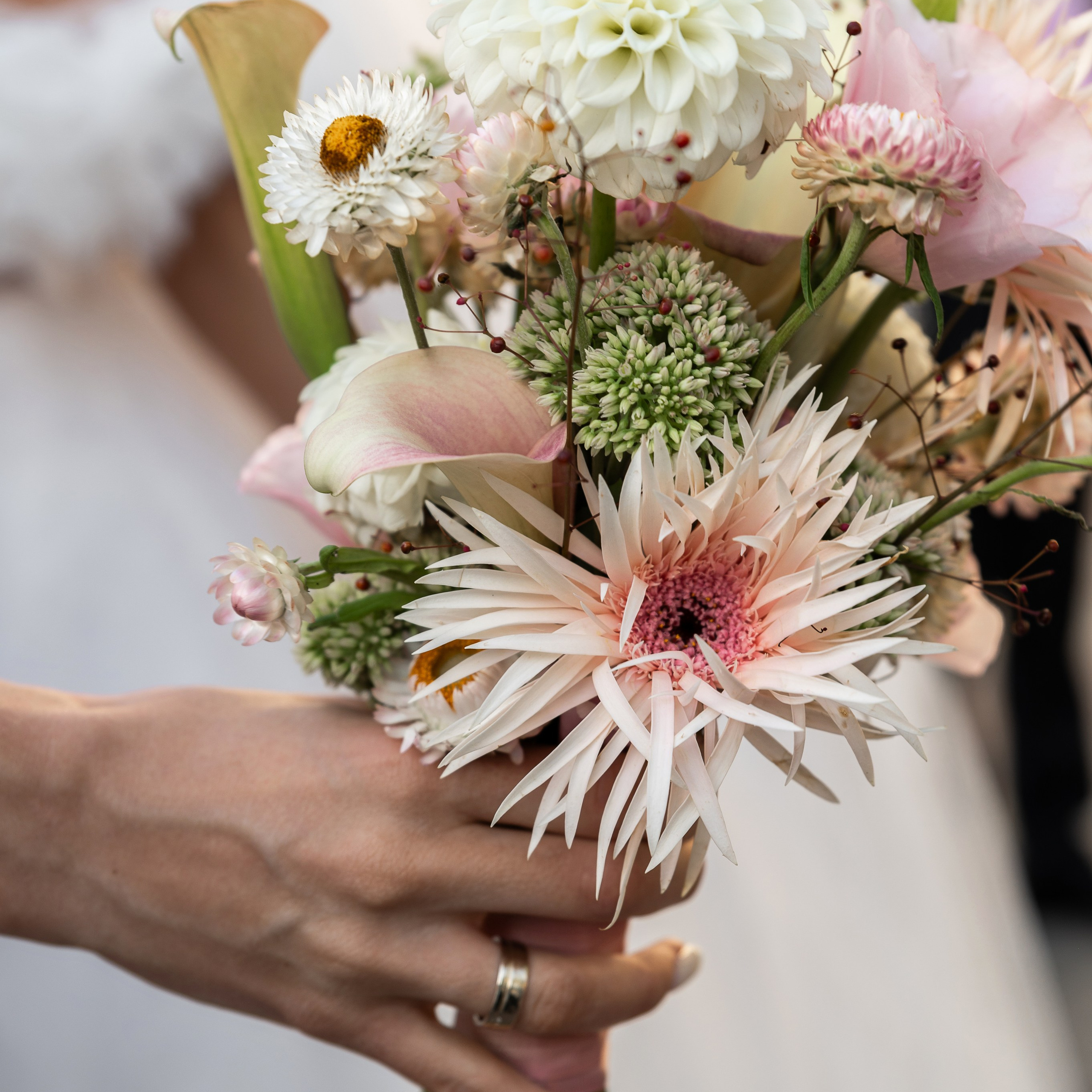 Елизавета и Александр. Свадебный фотограф Ростов-на-Дону Сочи