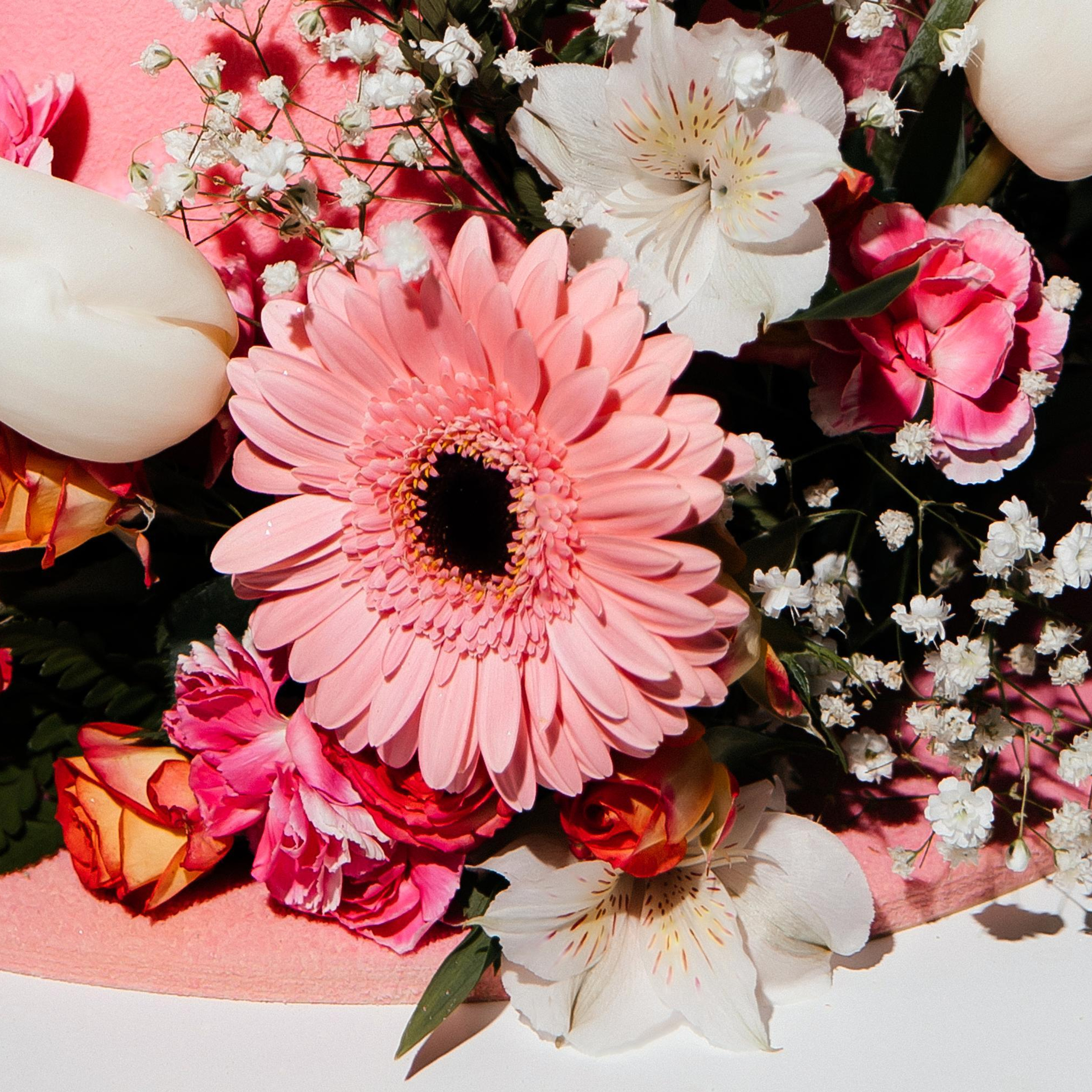 Отзывы. Свадебный фотограф Минск РБ