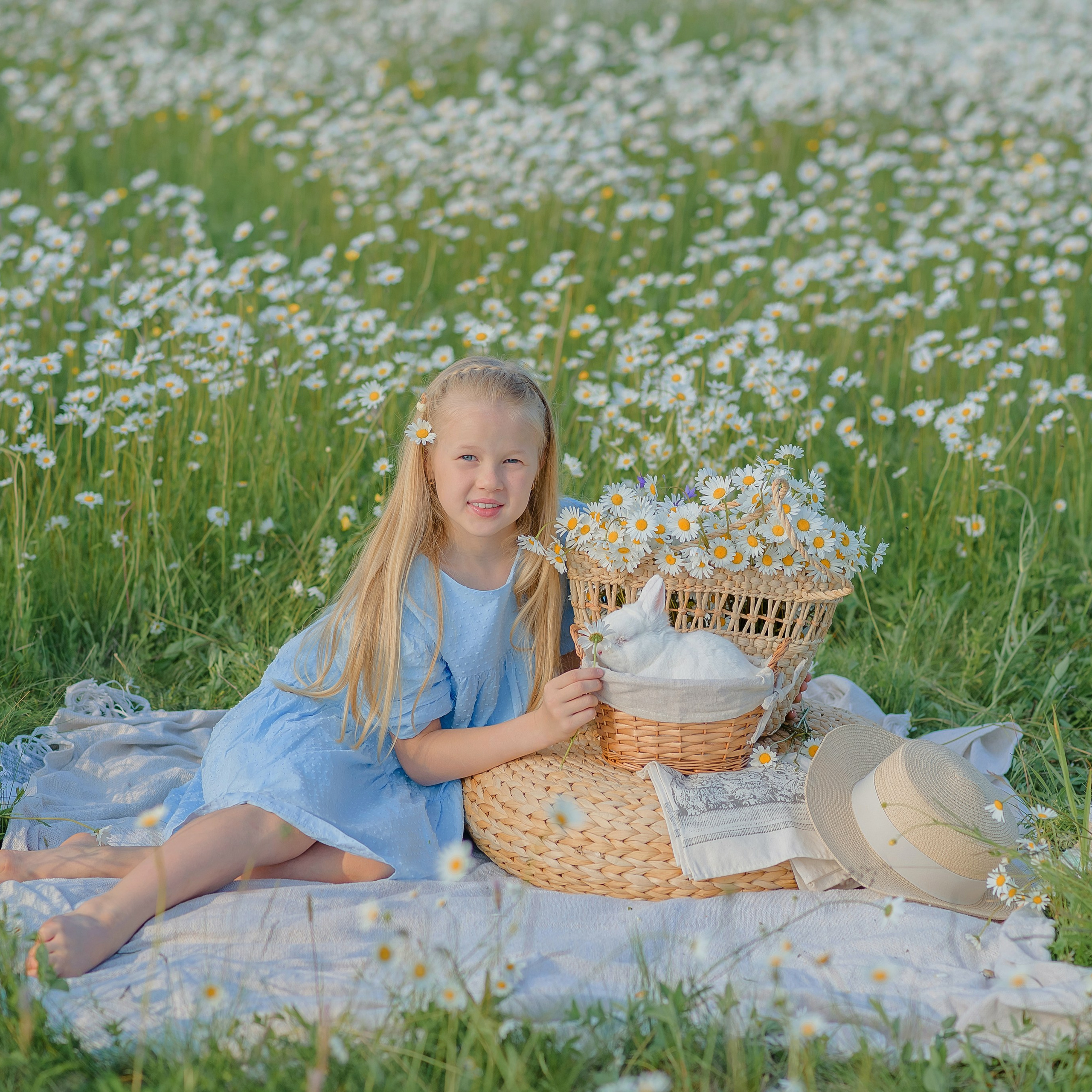 Ромашковое поле