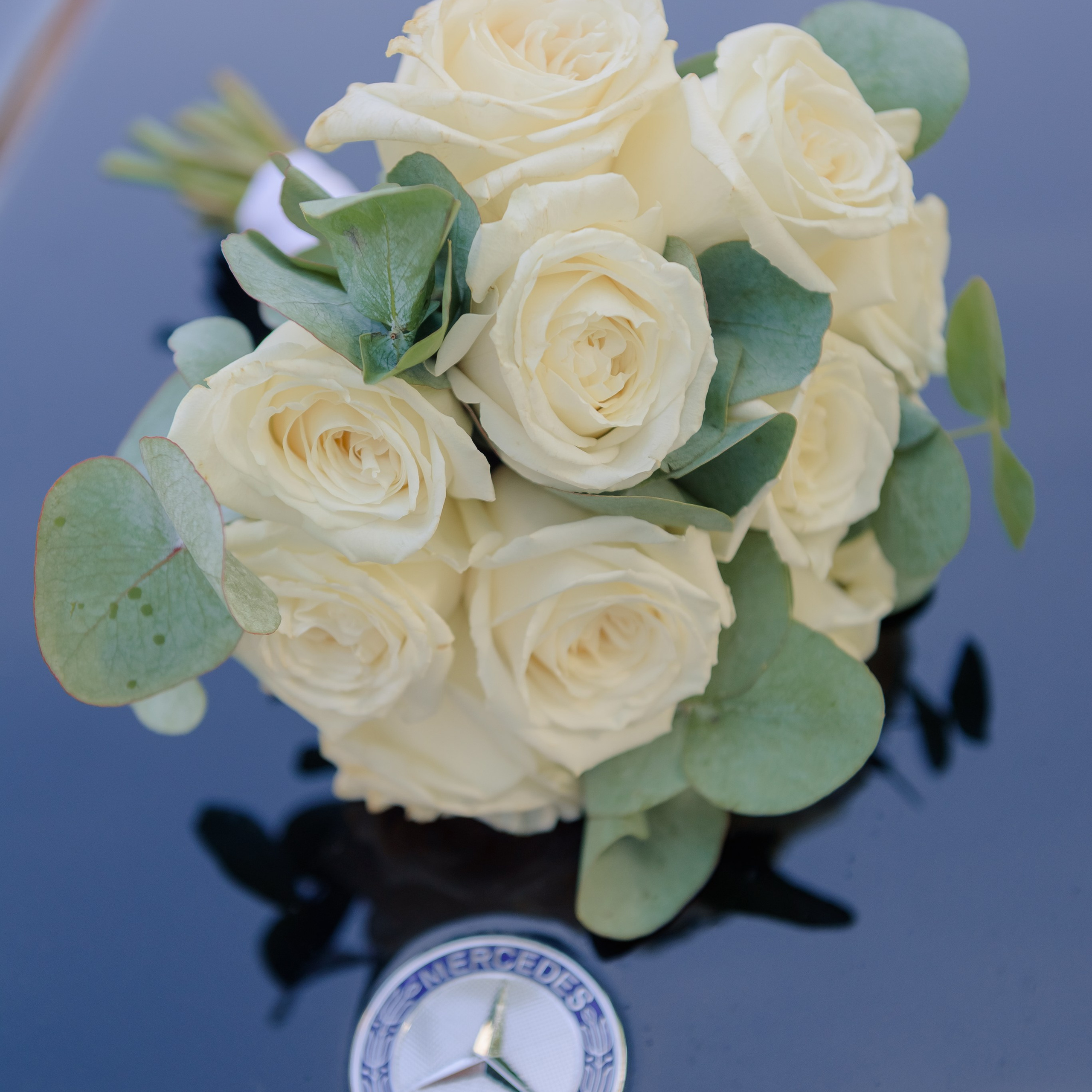 Дмитрий и Маргарита