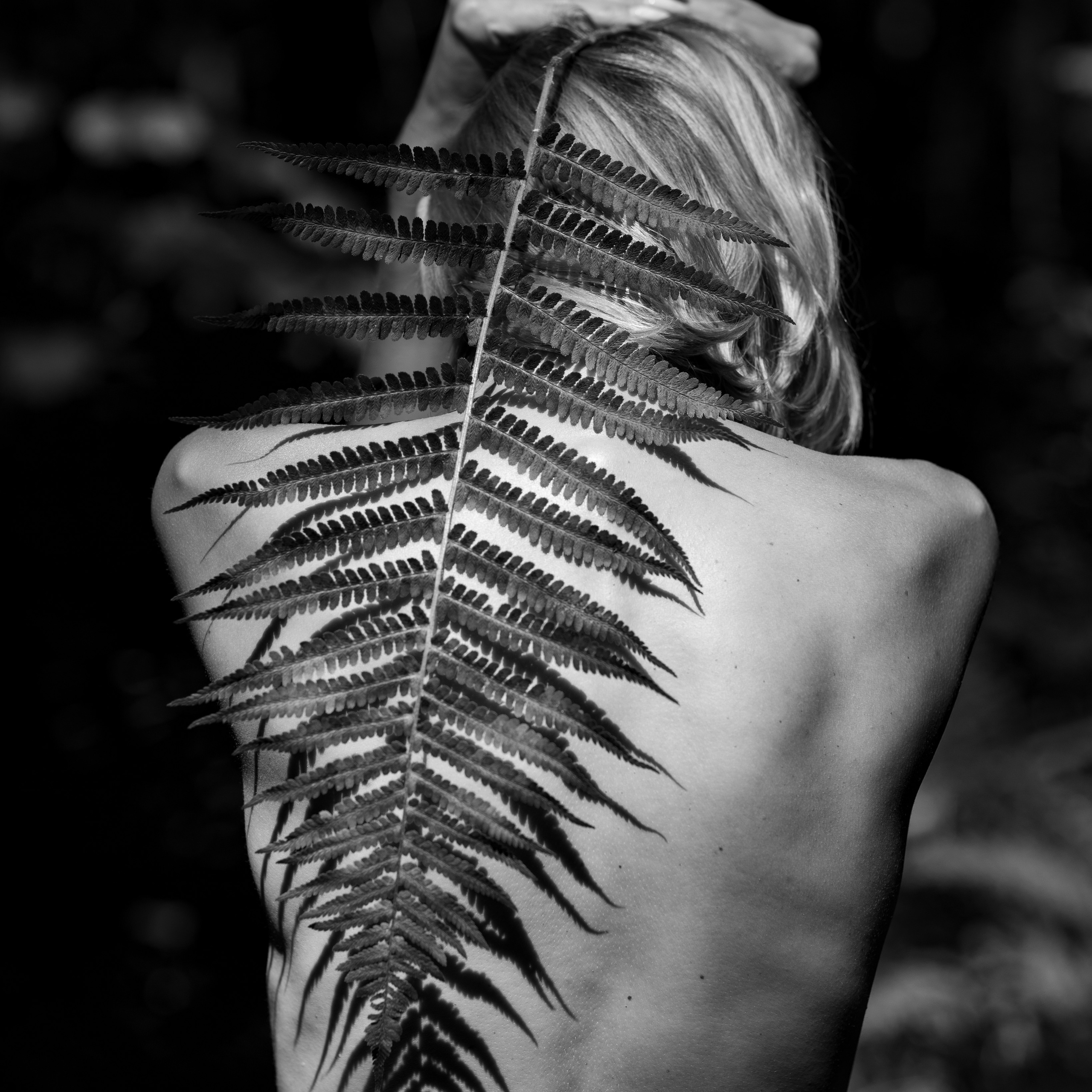 Фотосессия в лесу