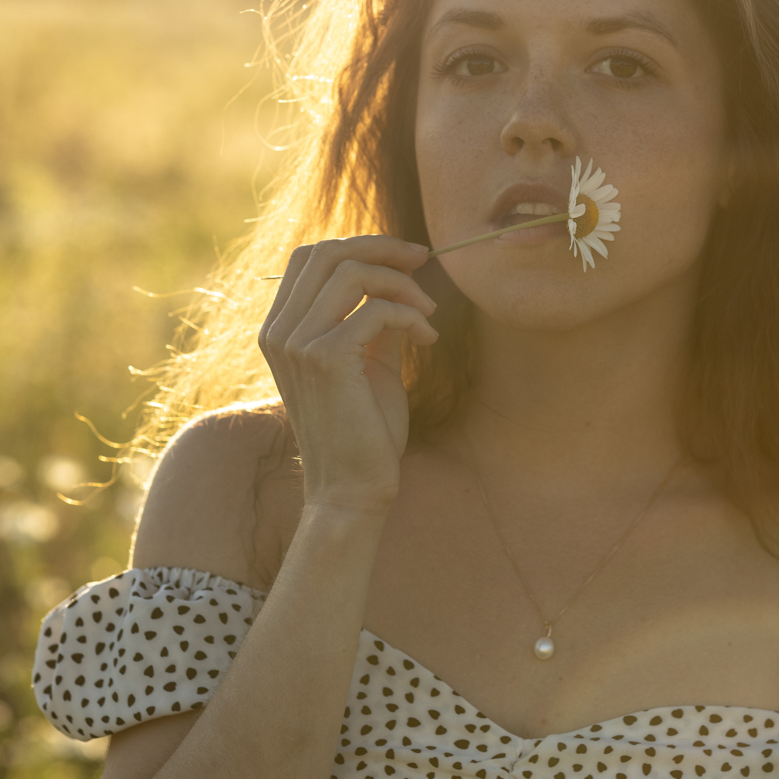 Привет, ромашки!