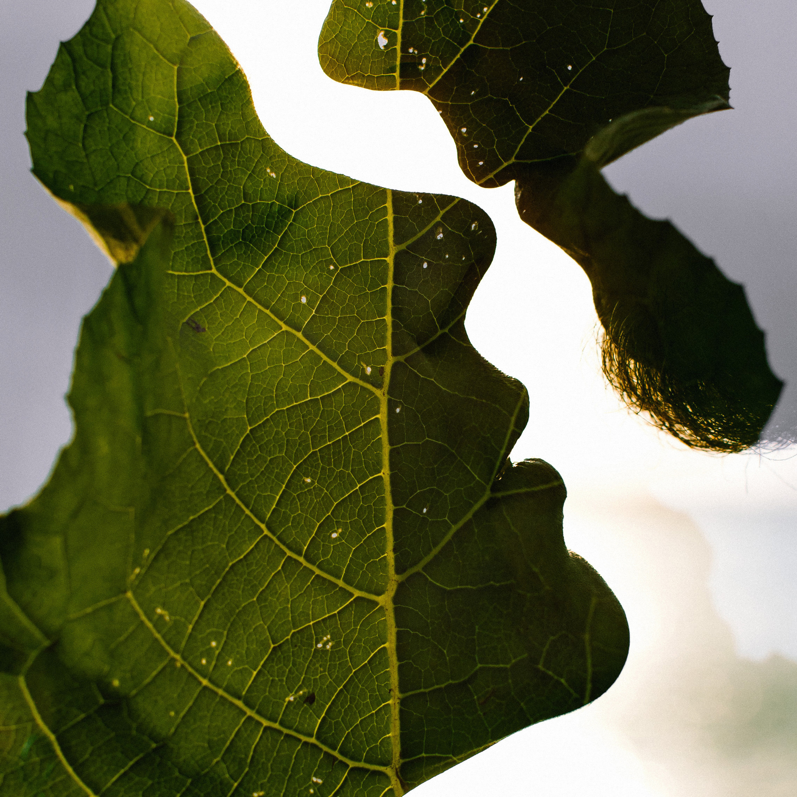 Reviews. Wedding and family photographer in Vladivostok Anton Blokhin