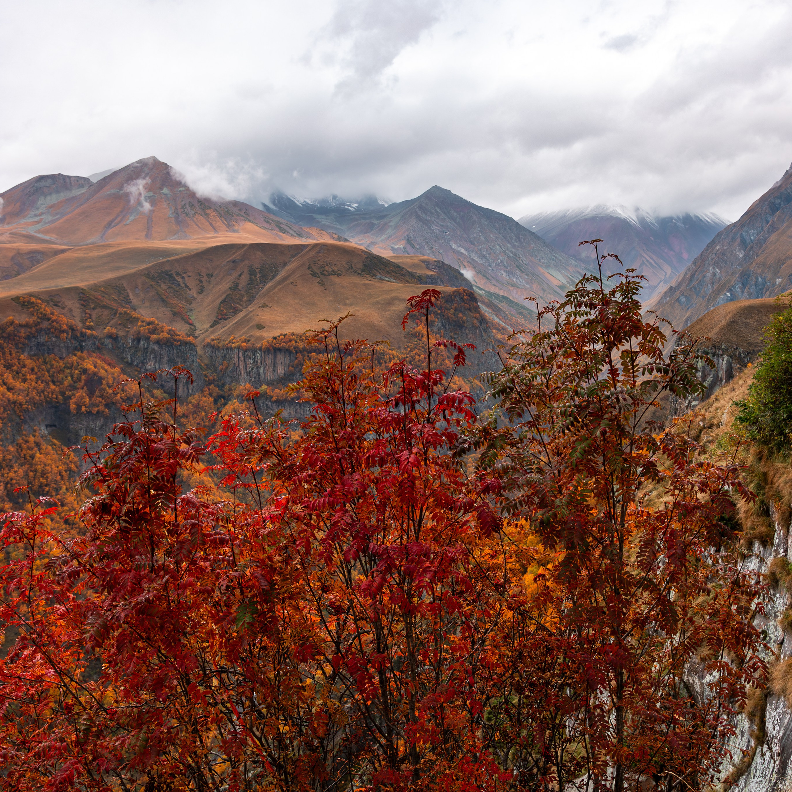Осенняя Грузия пейзаж