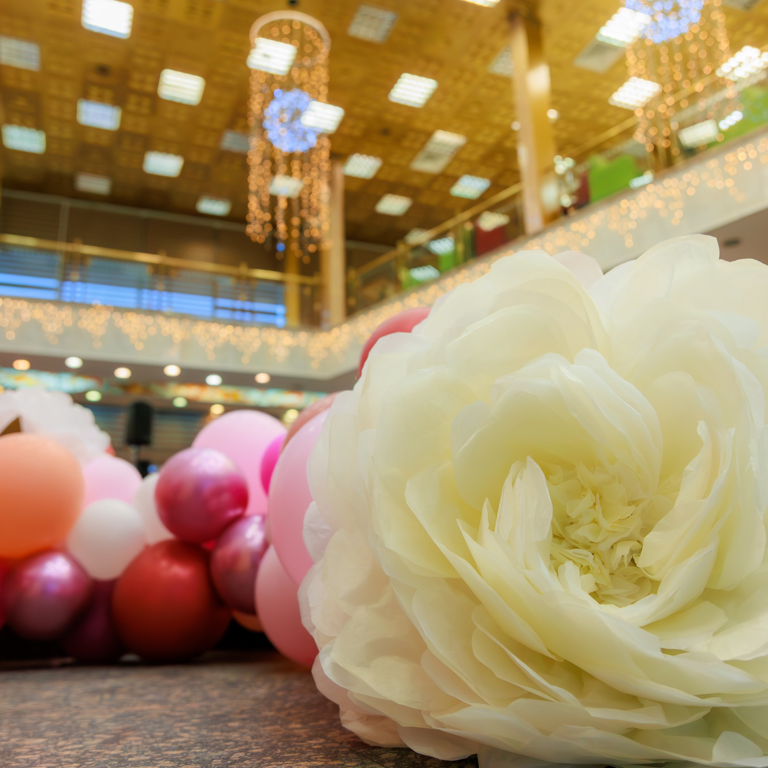 Останкино репортаж