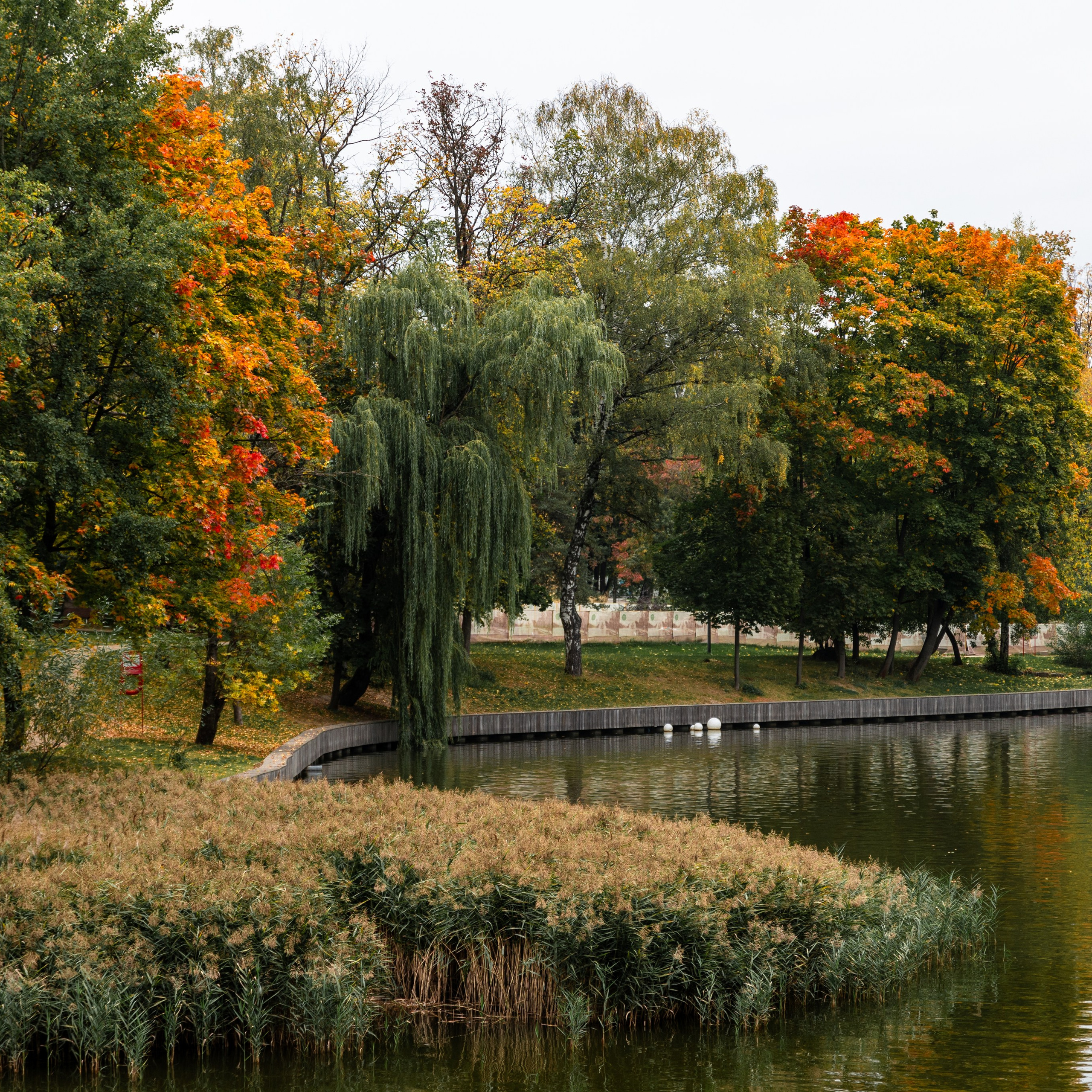 Осенний парк, Москва