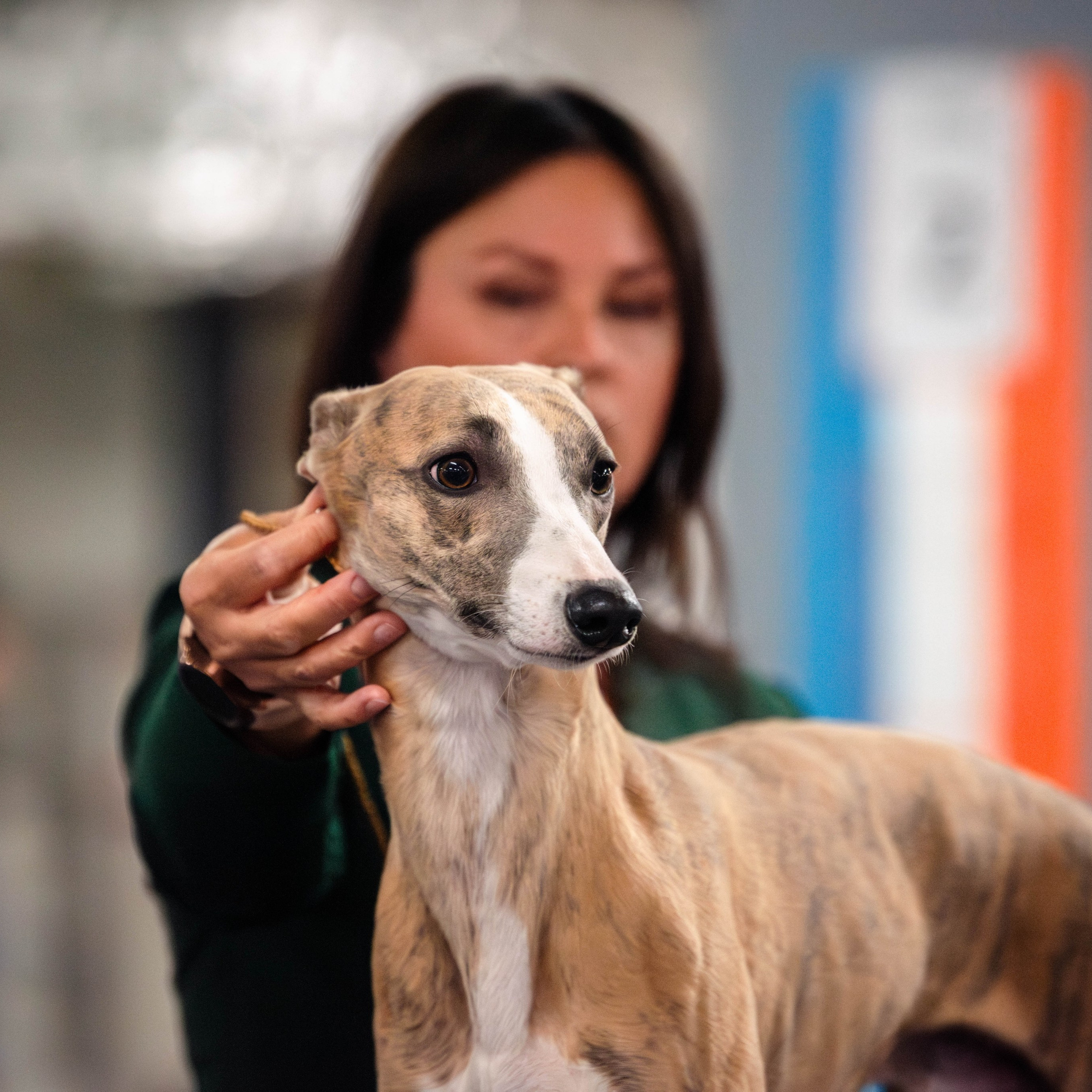 Отзывы. Фотограф Светлана Блинова, Москва и Московская область