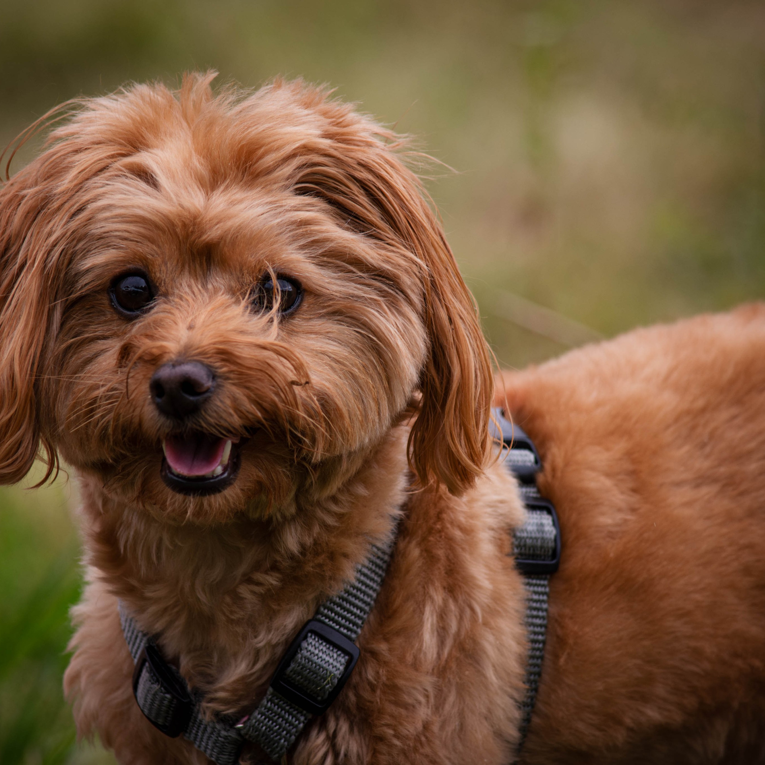 Отзывы. Фотограф Светлана Блинова, Москва и Московская область