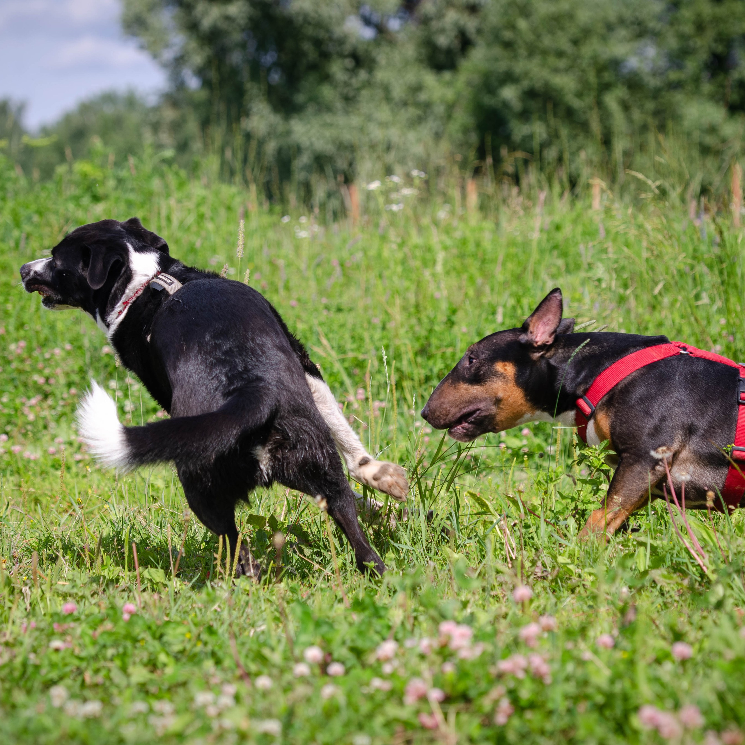 Отзывы. Фотограф Светлана Блинова, Москва и Московская область