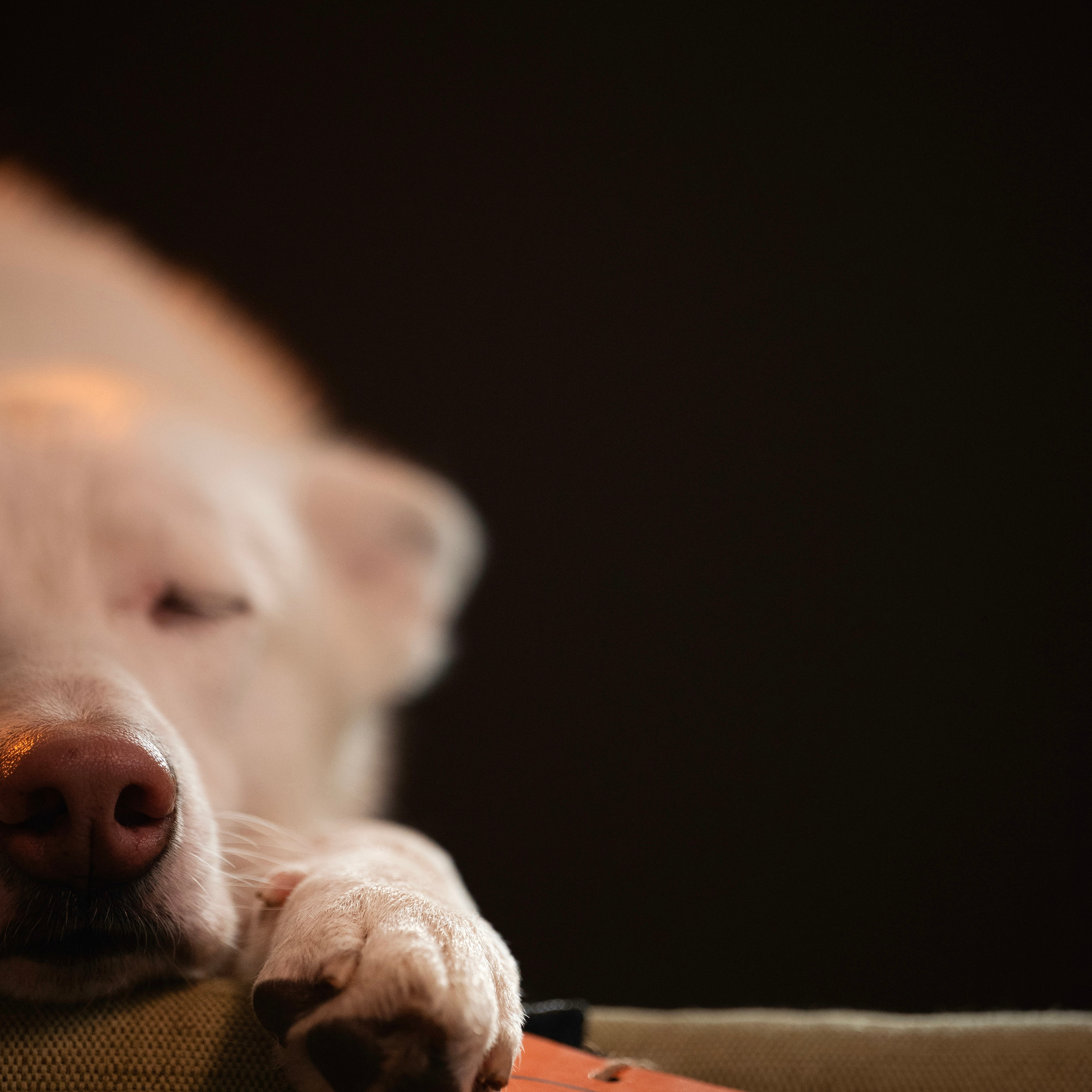 Отзывы. Мила Астахова