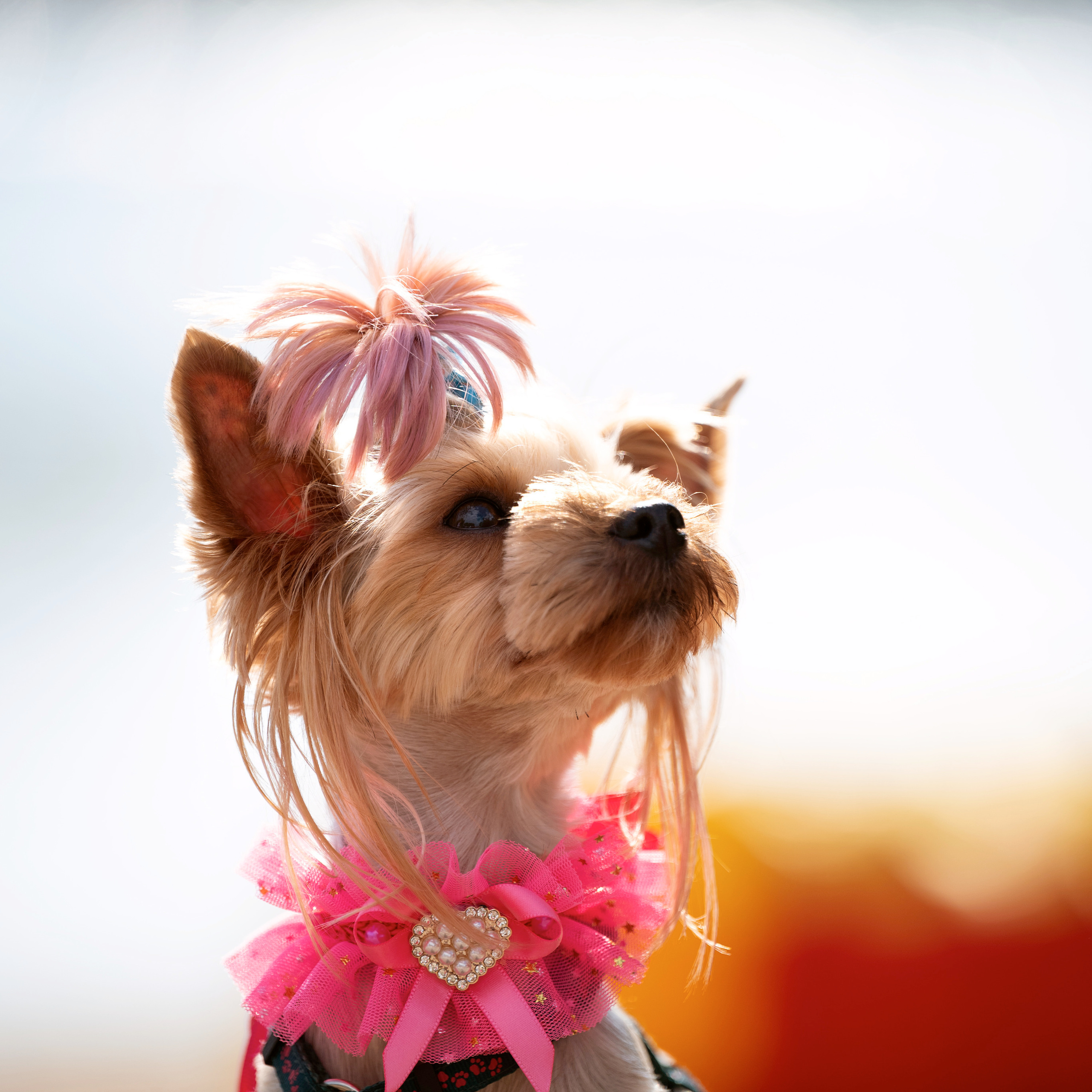 Отзывы. Мила Астахова