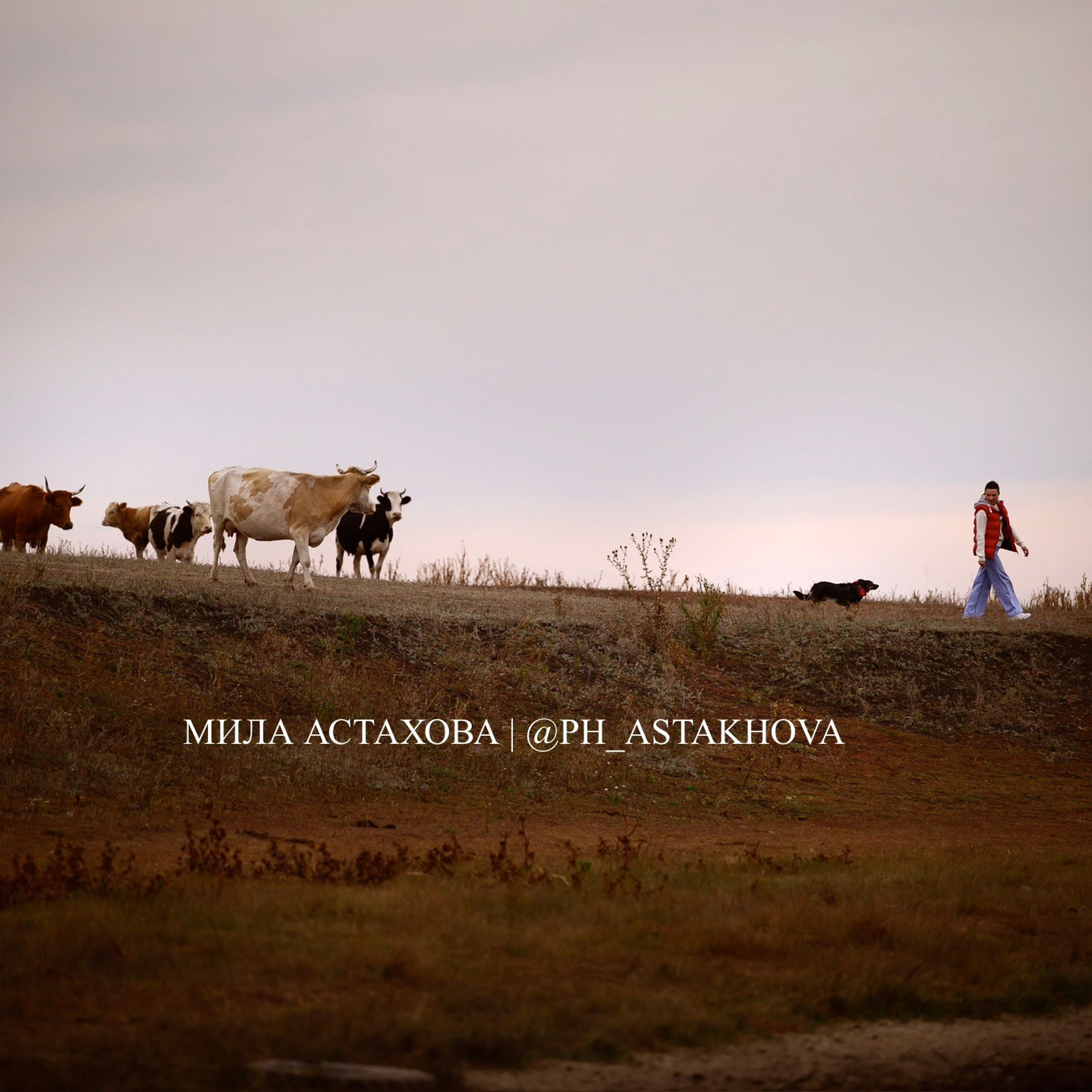 Милка и Ольга