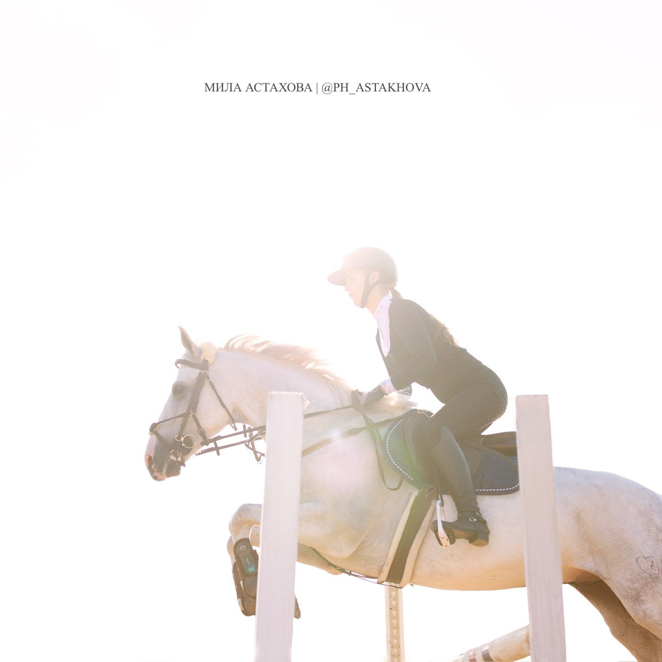 Хай Гарден и Косович Владислава