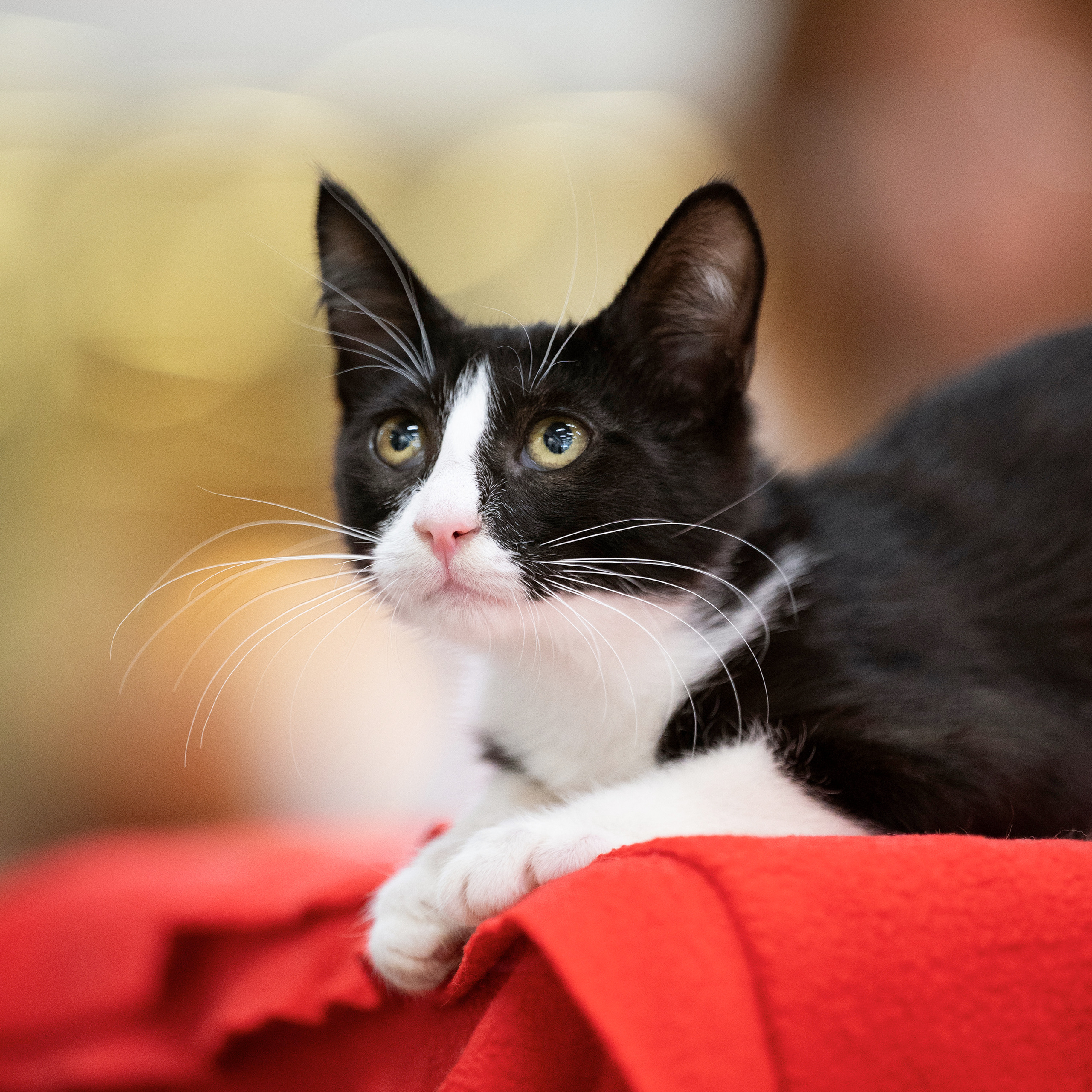 Отзывы. Мила Астахова