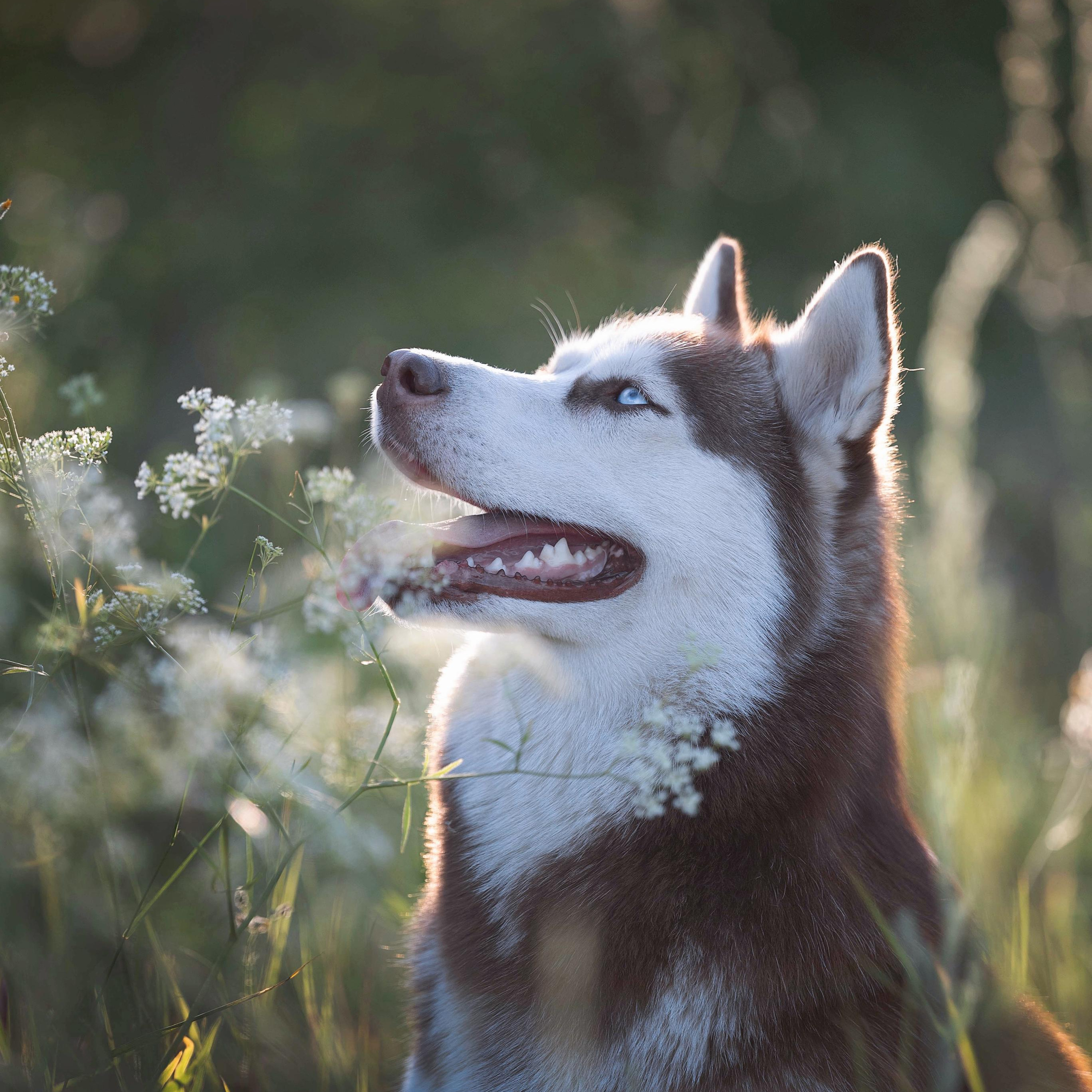 Отзывы. Мила Астахова
