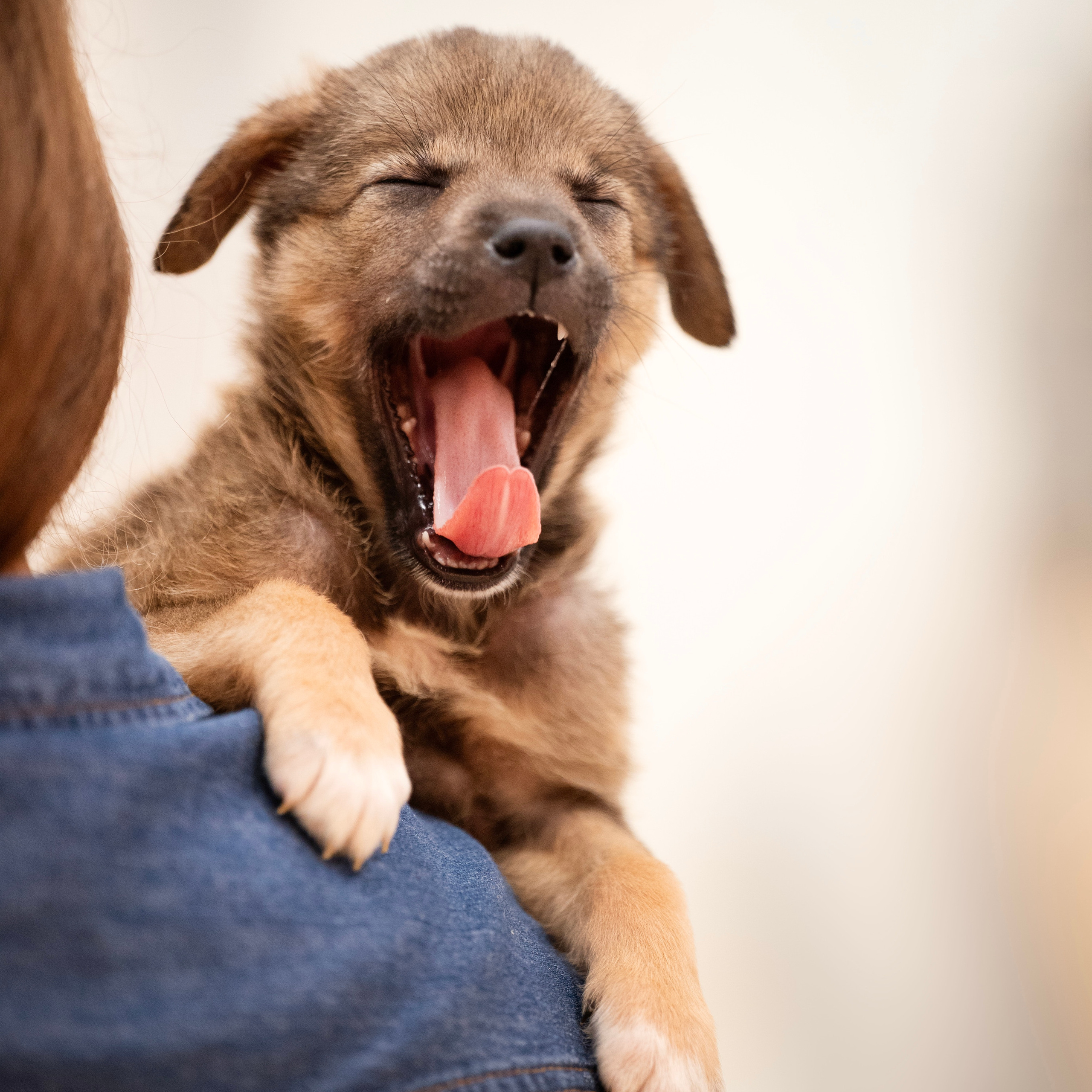 Отзывы. Мила Астахова