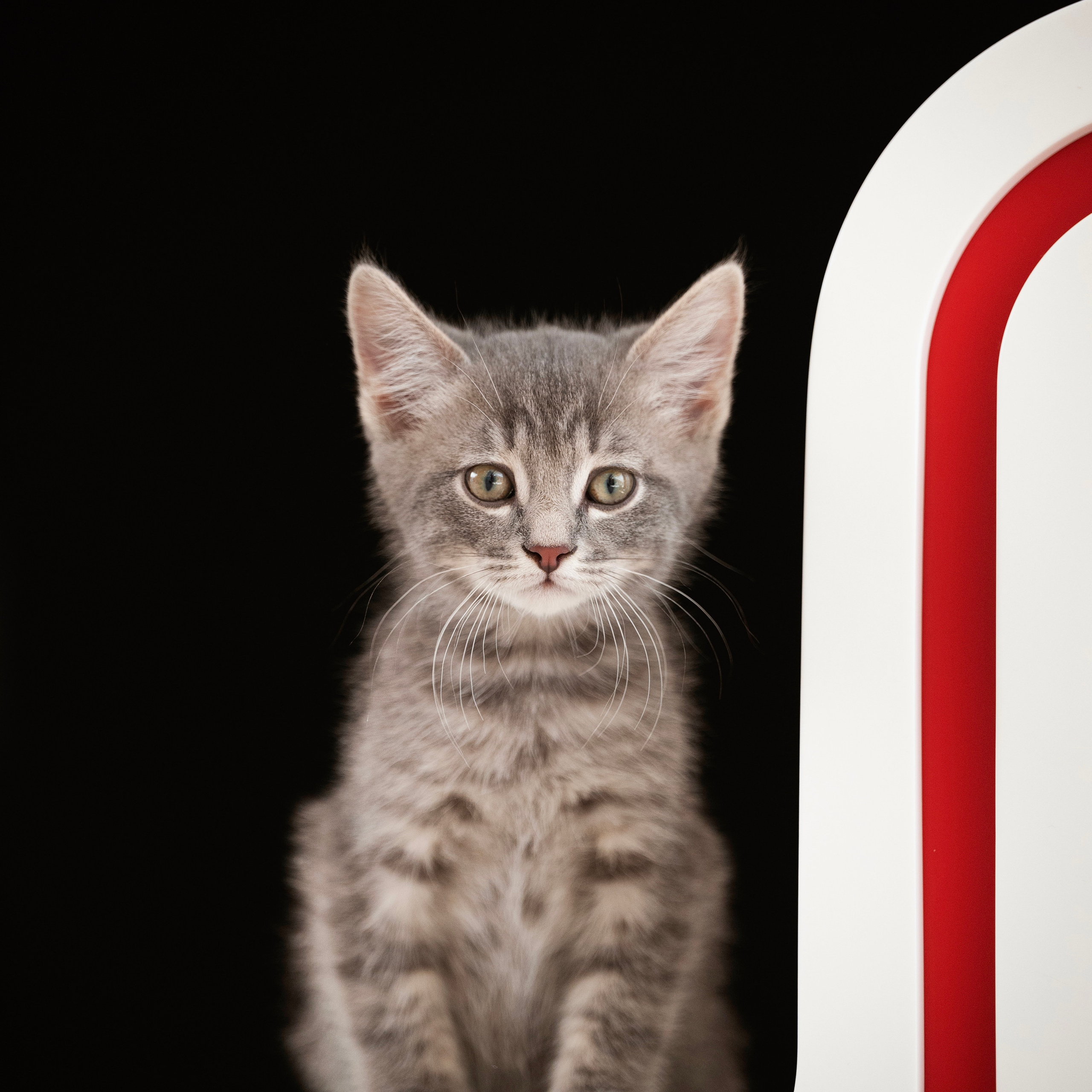 Отзывы. Мила Астахова