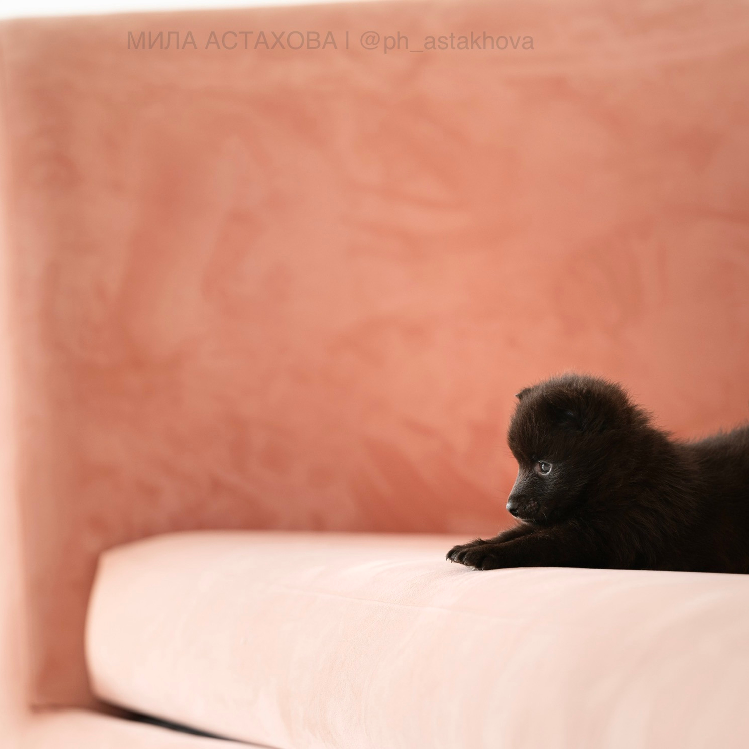 Для Анастасии