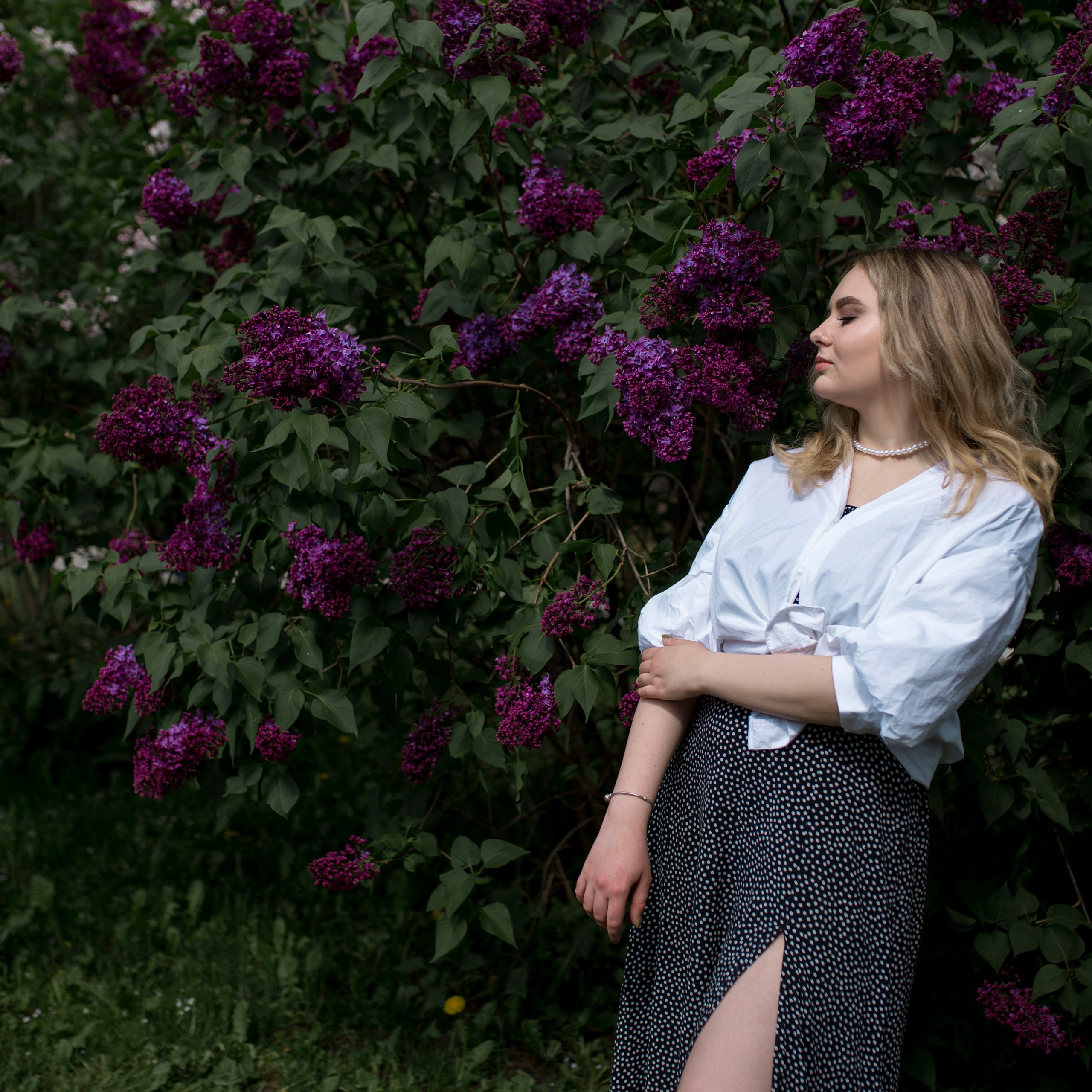 Сиреневый сад