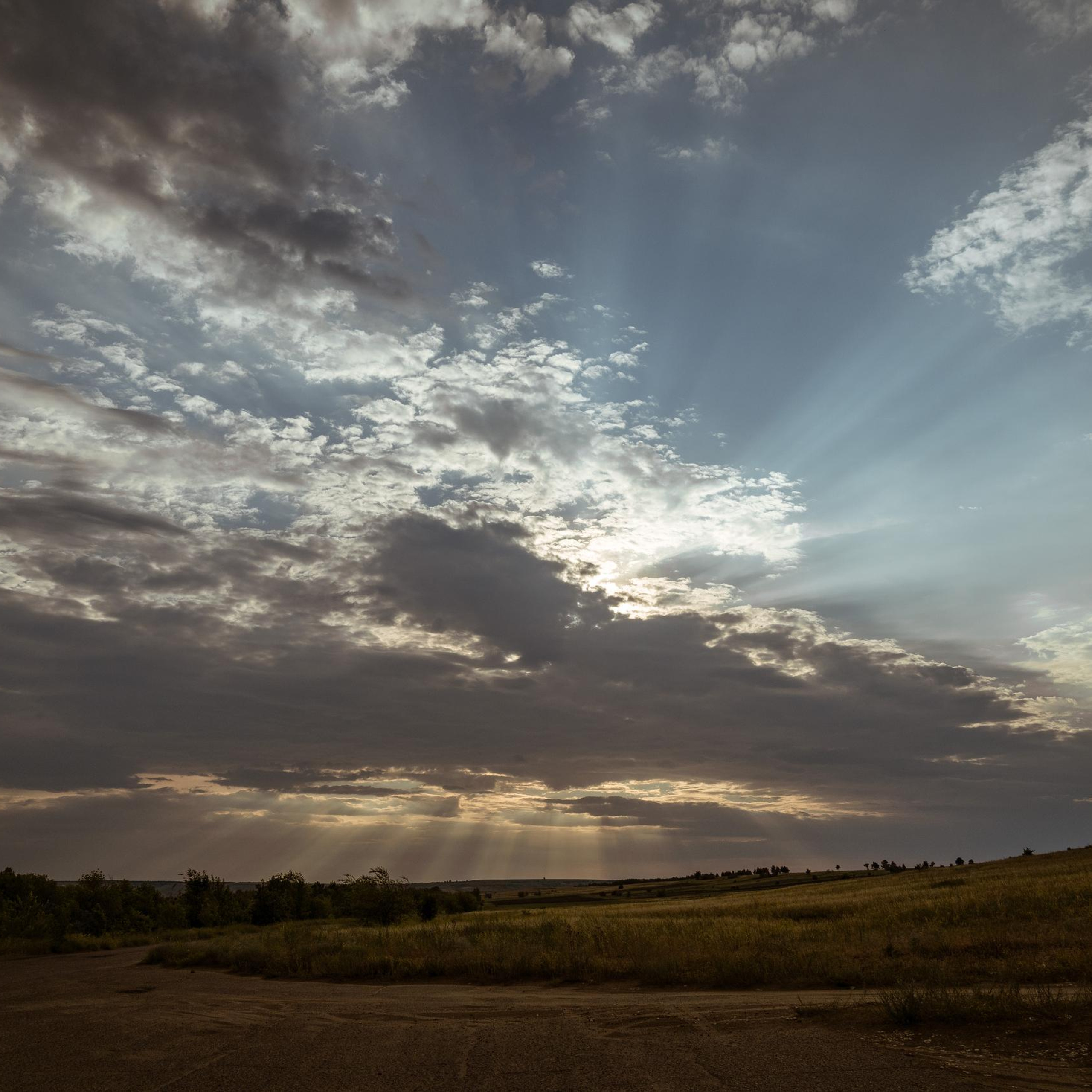 Отзывы. Семейный фотограф СПб Анастасия Василь. Фотосессия на годик