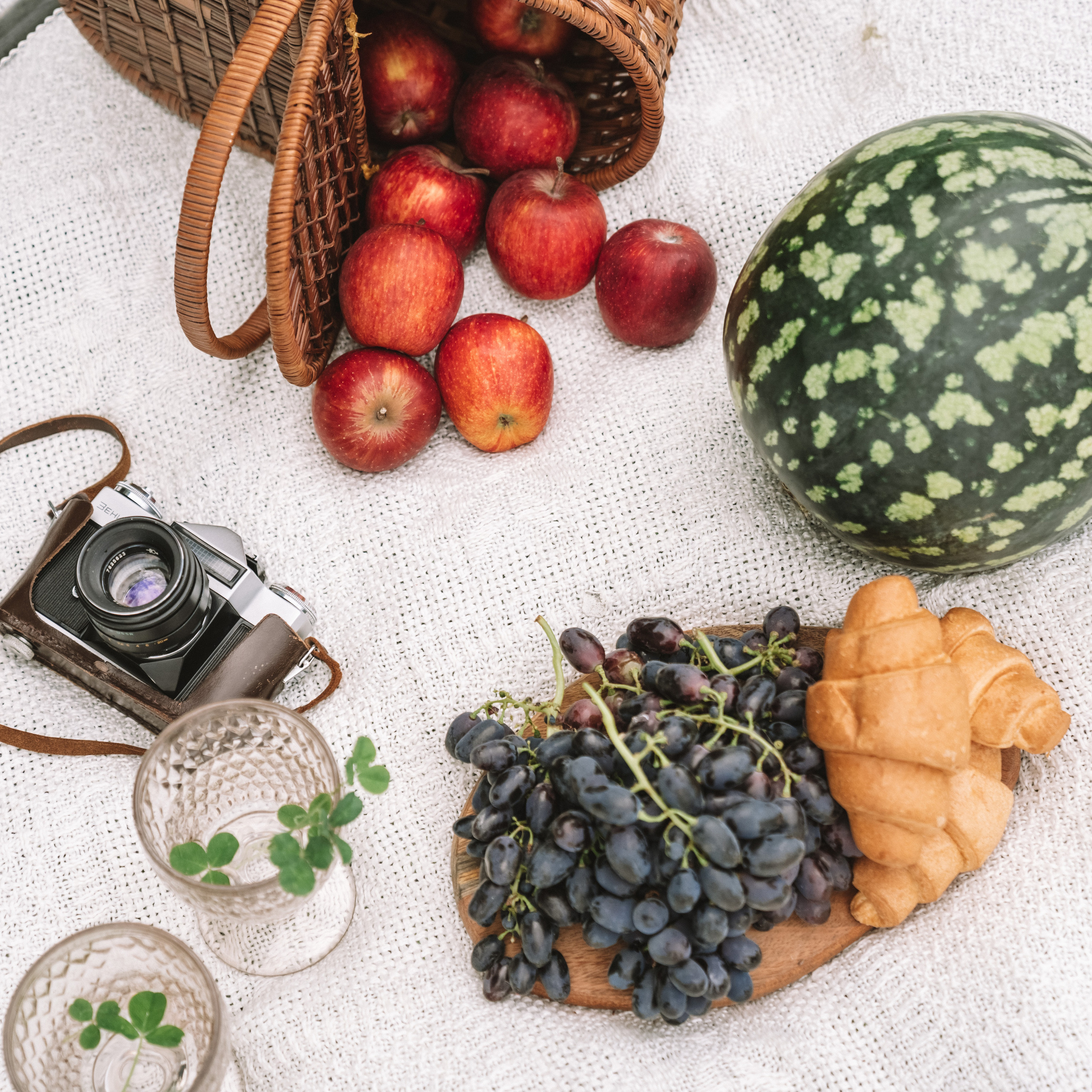 Отзывы. Семейный фотограф СПб Анастасия Василь. Фотосессия на годик