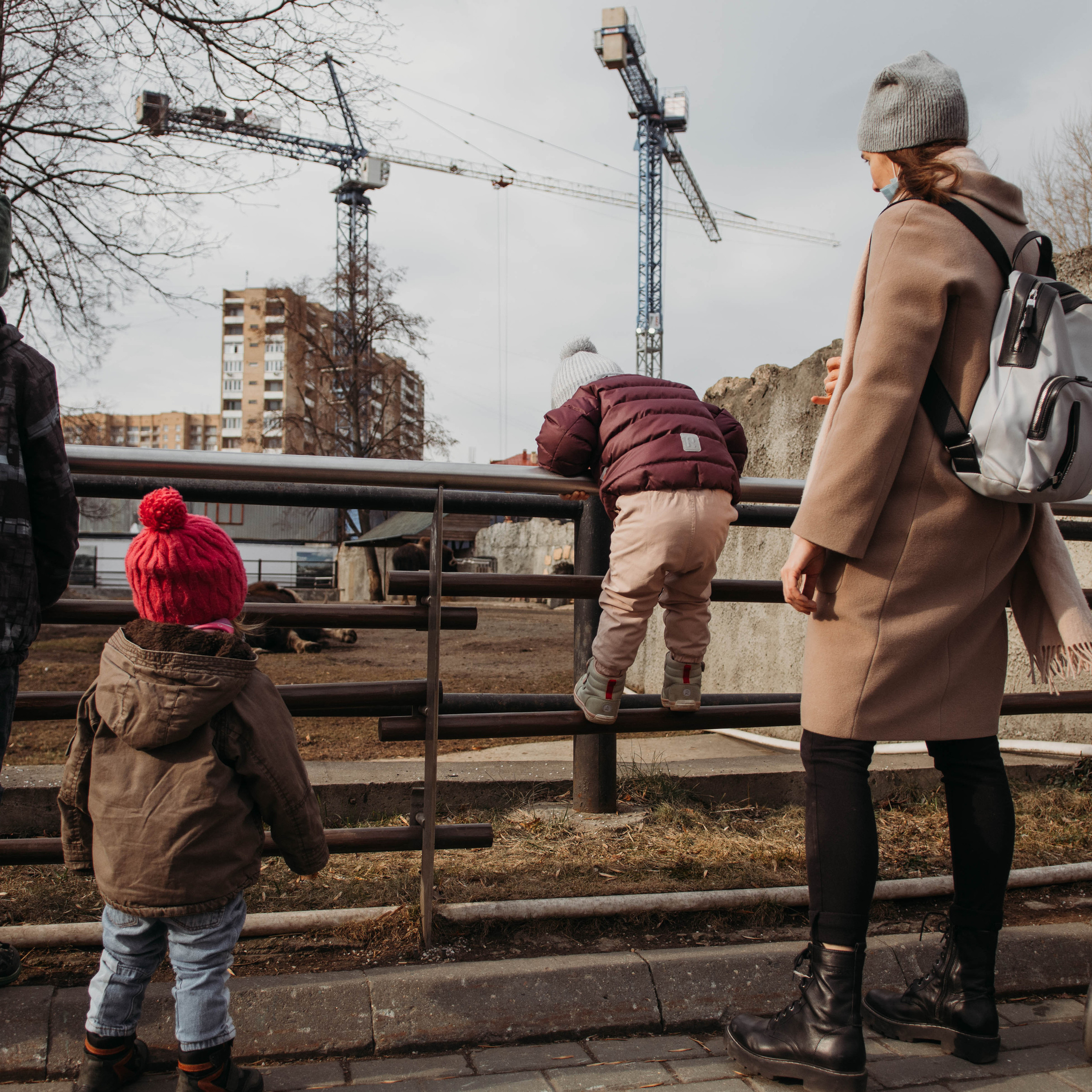 Отзывы. Семейный и детский фотограф в Москве