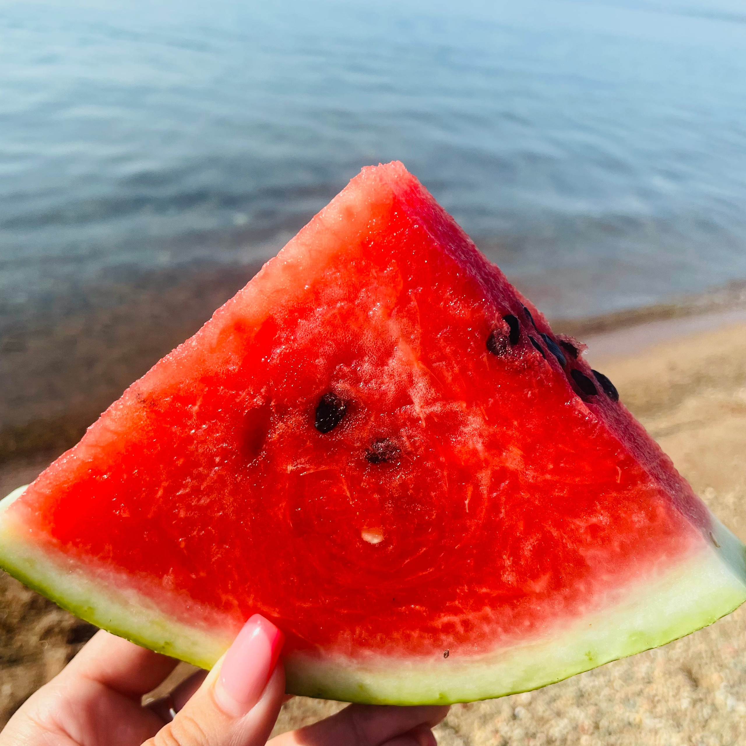 Отзывы. BAMbook