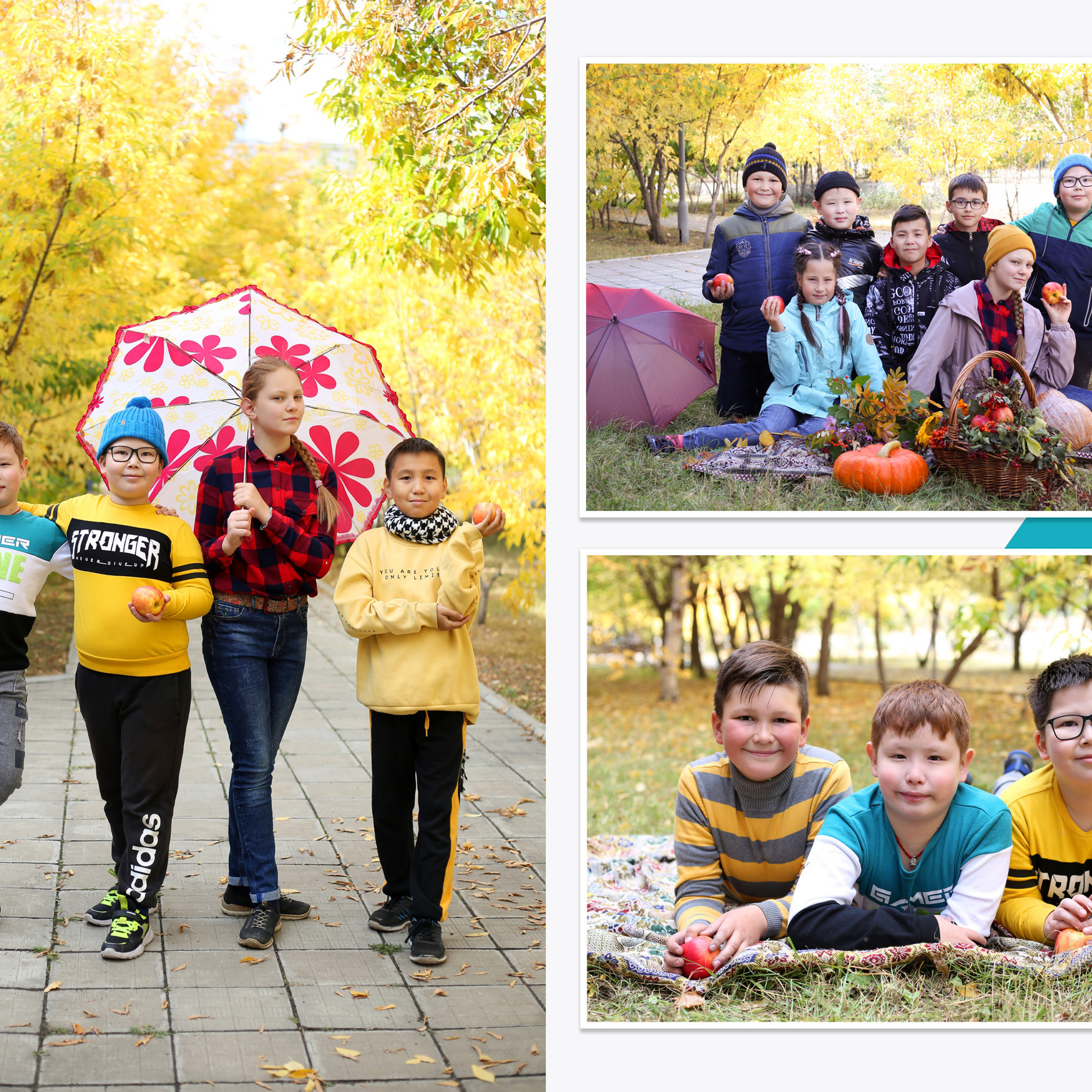 Отзывы. BAMbook