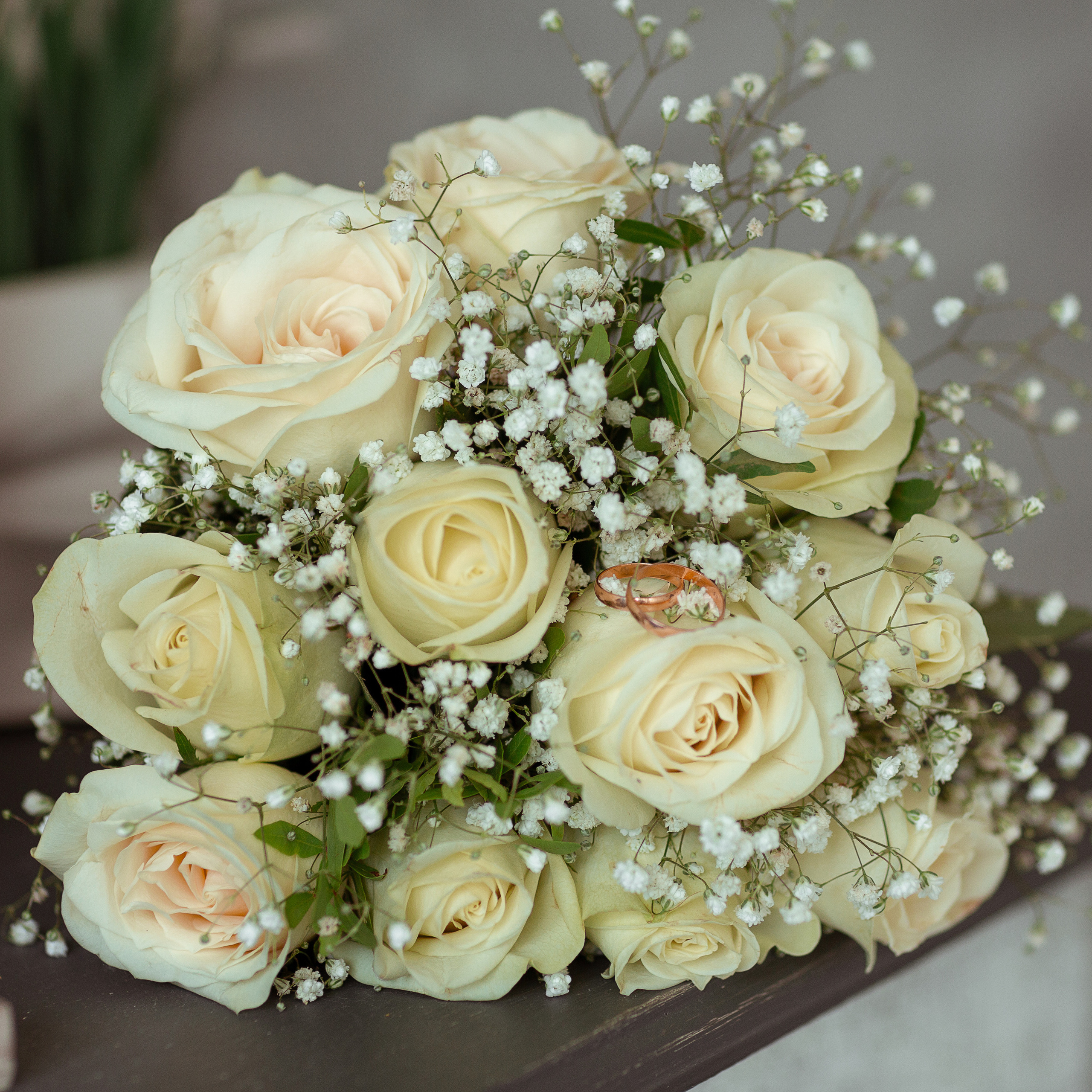 Отзывы нижний новгород. Фотограф в Нижнем Новгороде Нестерова Кристина