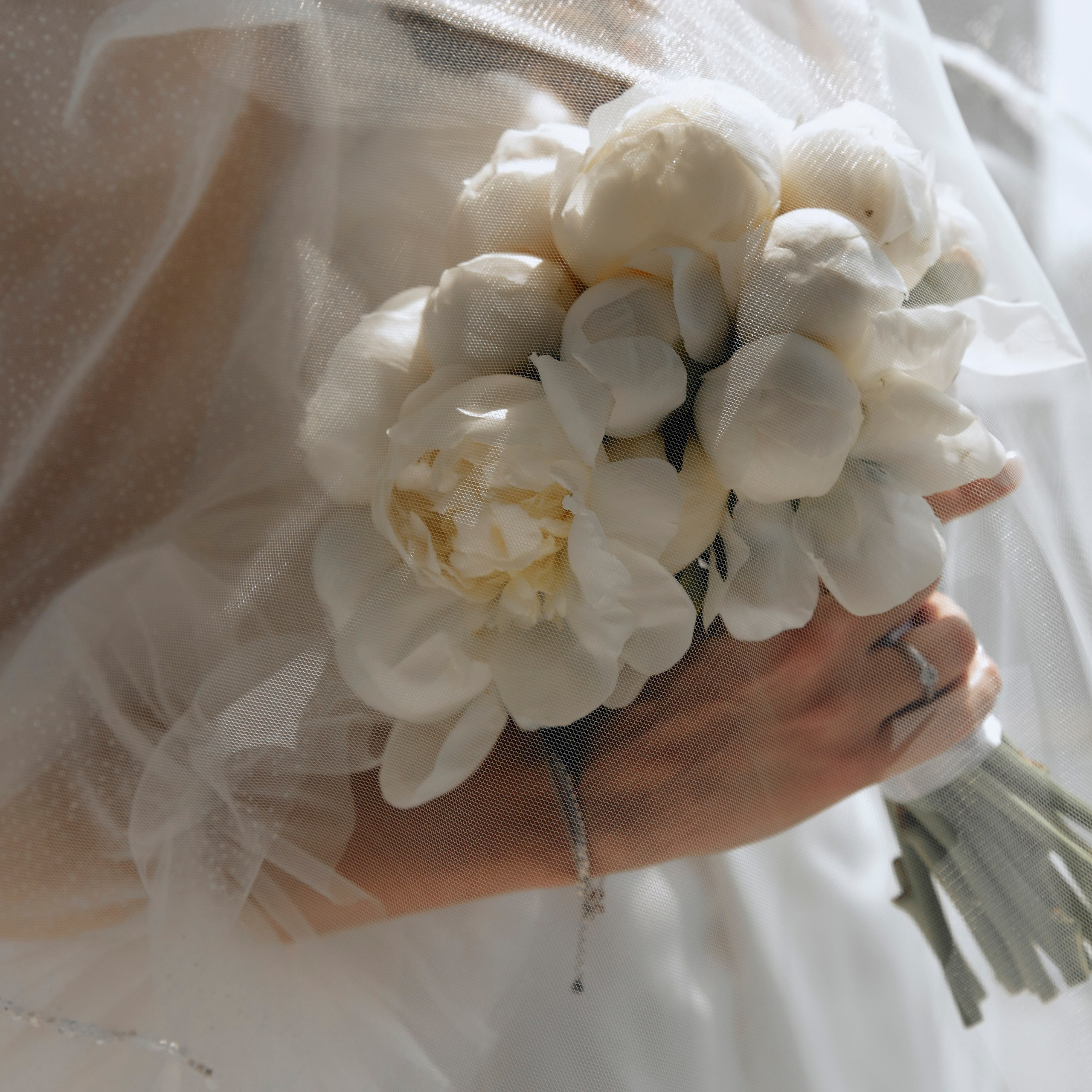 Алексей & Анастасия